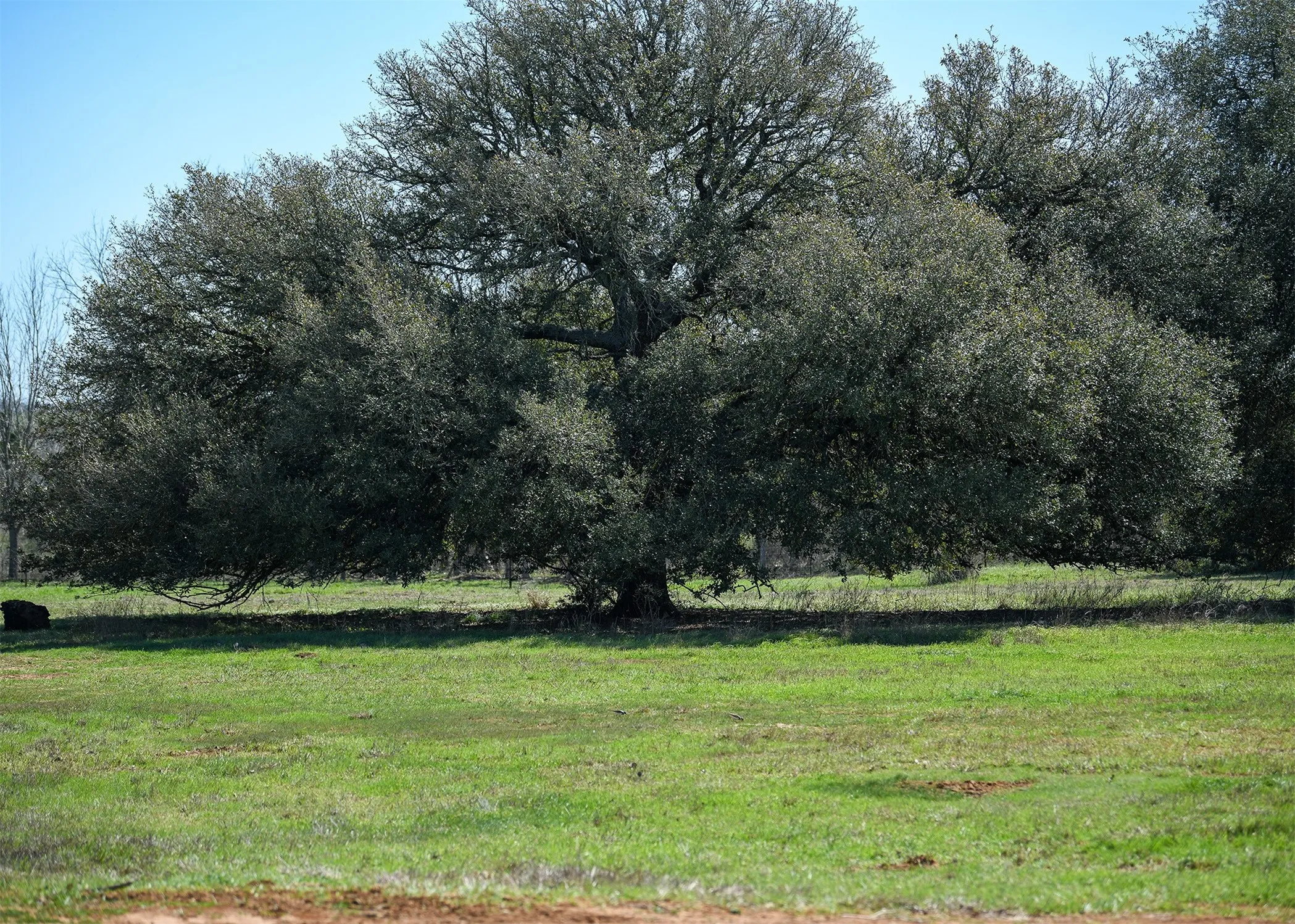 View of local wilderness featuring rural landscape