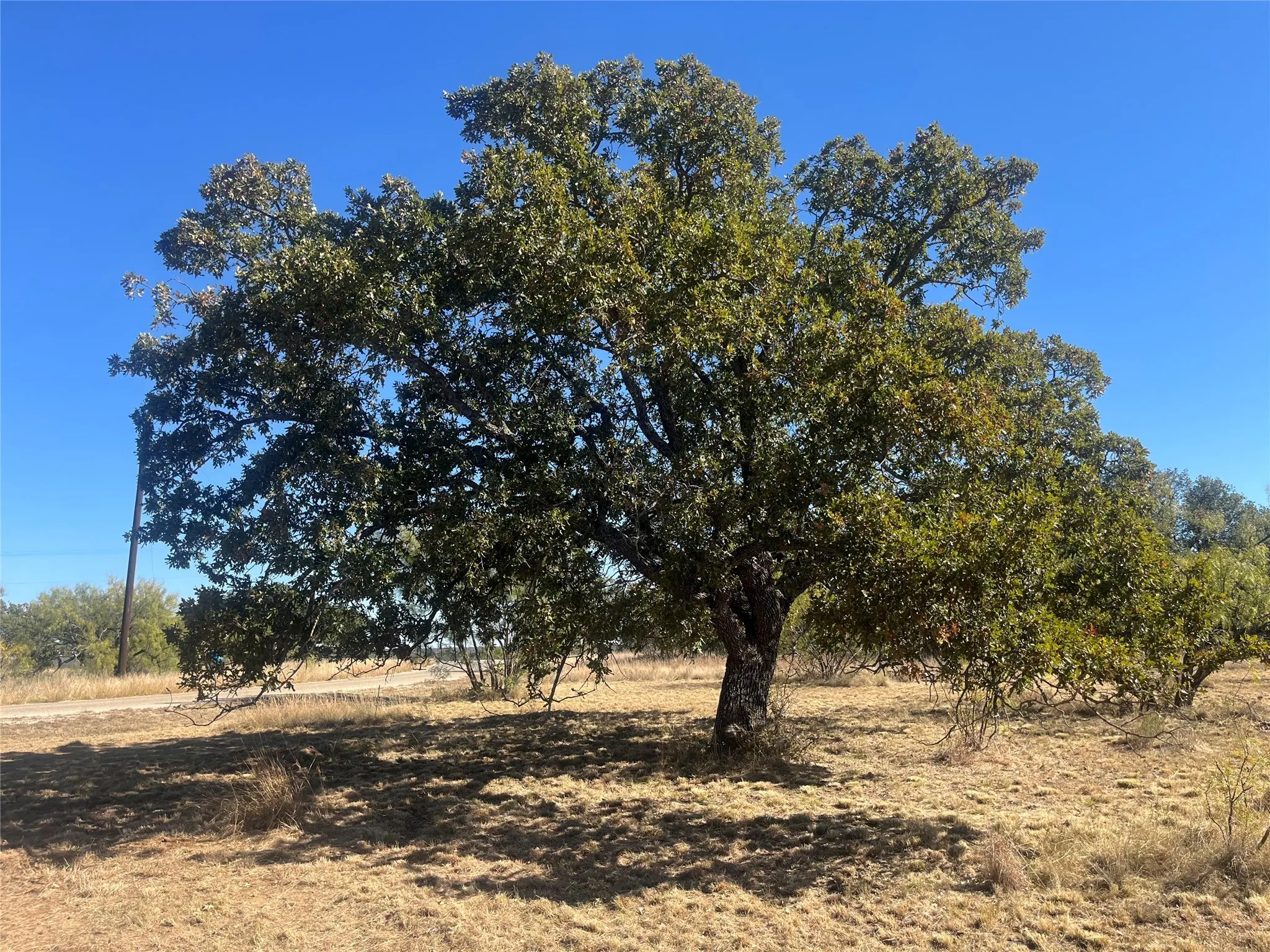 .78 acre lot on the 4th green of the golf course