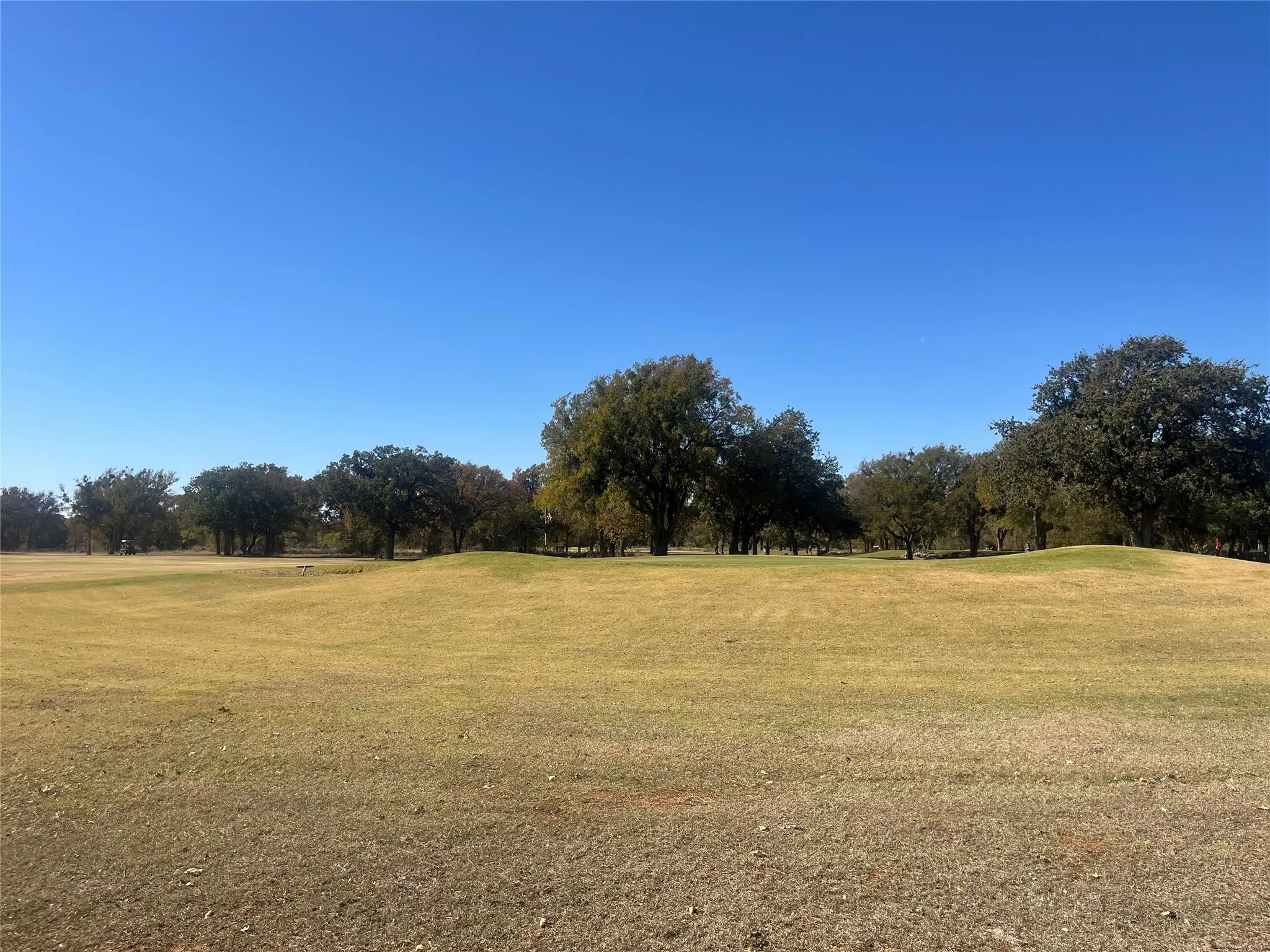 4th green of the golf course