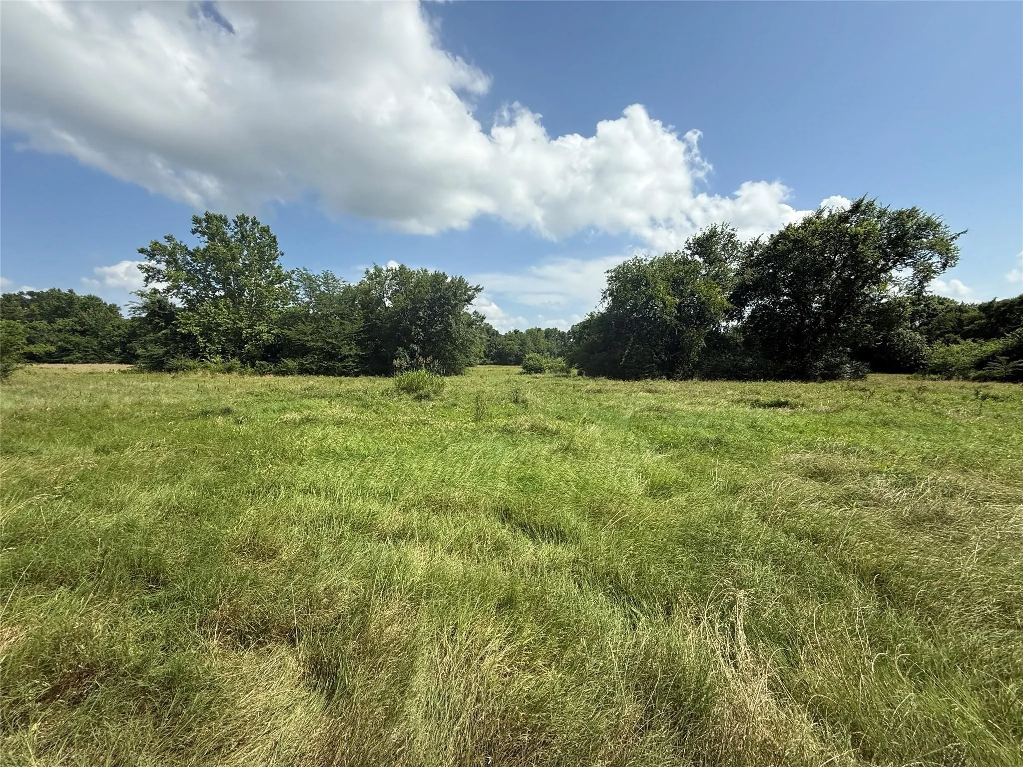 Farm For Sale in Hopkins County , 11591-2 Farm Road 269 S, Pickton, Texas 75471, 2 Bedrooms, 2 Bathrooms, Garage spaces, 1,480 Sqft, built in 1961, Preowned, Price $299,000, mls#21111009, Real Estate Agent in Pickton, Homes For Sale in Hopkins county, Homes For Sale in Pickton, Realtor in Pickton Texas, Real Estate Brokerage Independent Realty Texas, Luminita Cordes Realtor