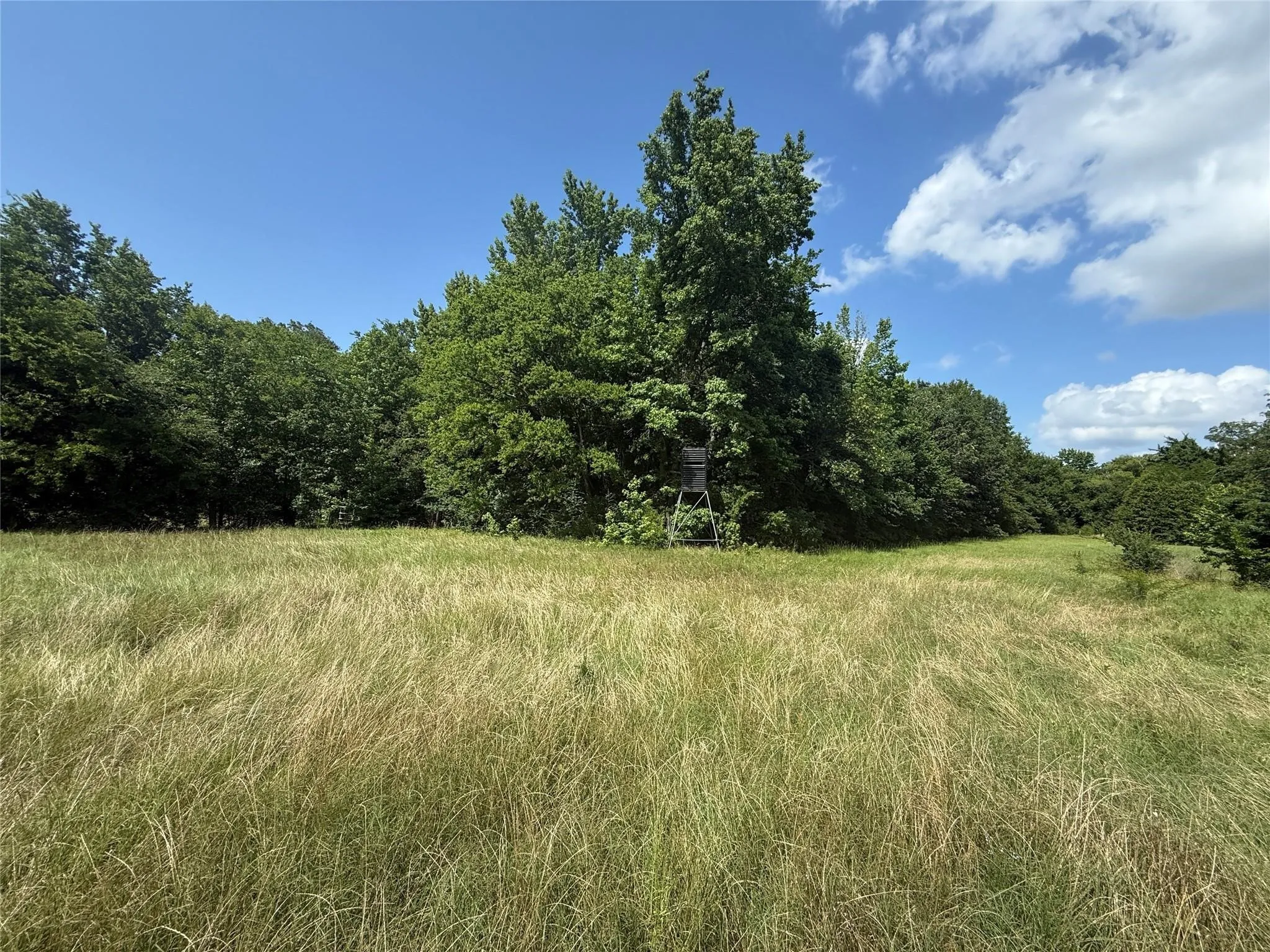 Farm For Sale in Hopkins County , 11591-2 Farm Road 269 S, Pickton, Texas 75471, 2 Bedrooms, 2 Bathrooms, Garage spaces, 1,480 Sqft, built in 1961, Preowned, Price $299,000, mls#21111009, Real Estate Agent in Pickton, Homes For Sale in Hopkins county, Homes For Sale in Pickton, Realtor in Pickton Texas, Real Estate Brokerage Independent Realty Texas, Luminita Cordes Realtor