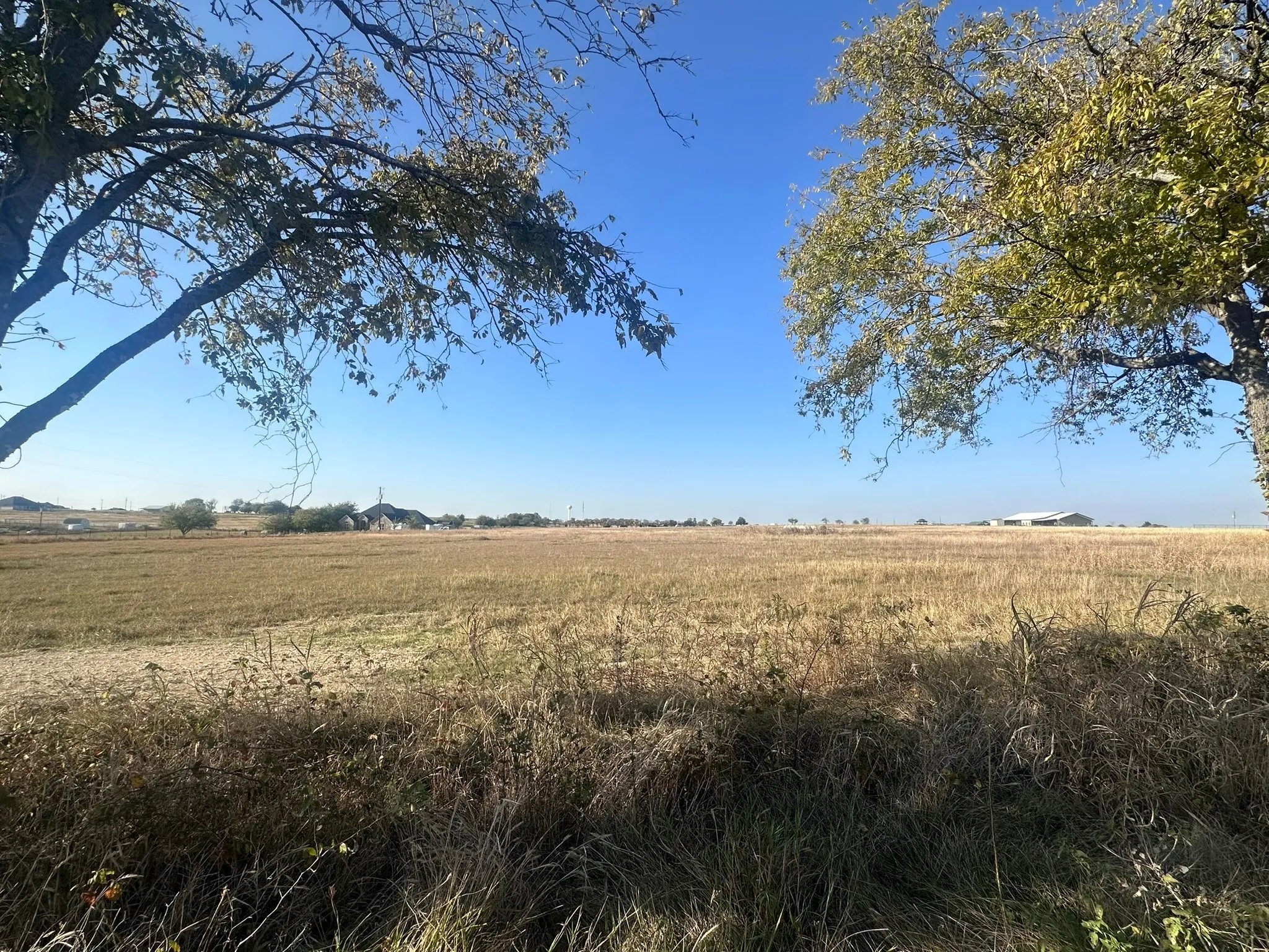 Unimproved Land For Sale in Ellis County , 1328 Old Maypearl Road, Waxahachie, Texas 75167, 0, 0, Garage spaces, 0 Sqft, built in 0, Price $715,000, mls#21109918, Real Estate Agent in Waxahachie, Homes For Sale in Ellis county, Homes For Sale in Waxahachie, Realtor in Waxahachie Texas, Real Estate Brokerage Independent Realty Texas, Luminita Cordes Realtor