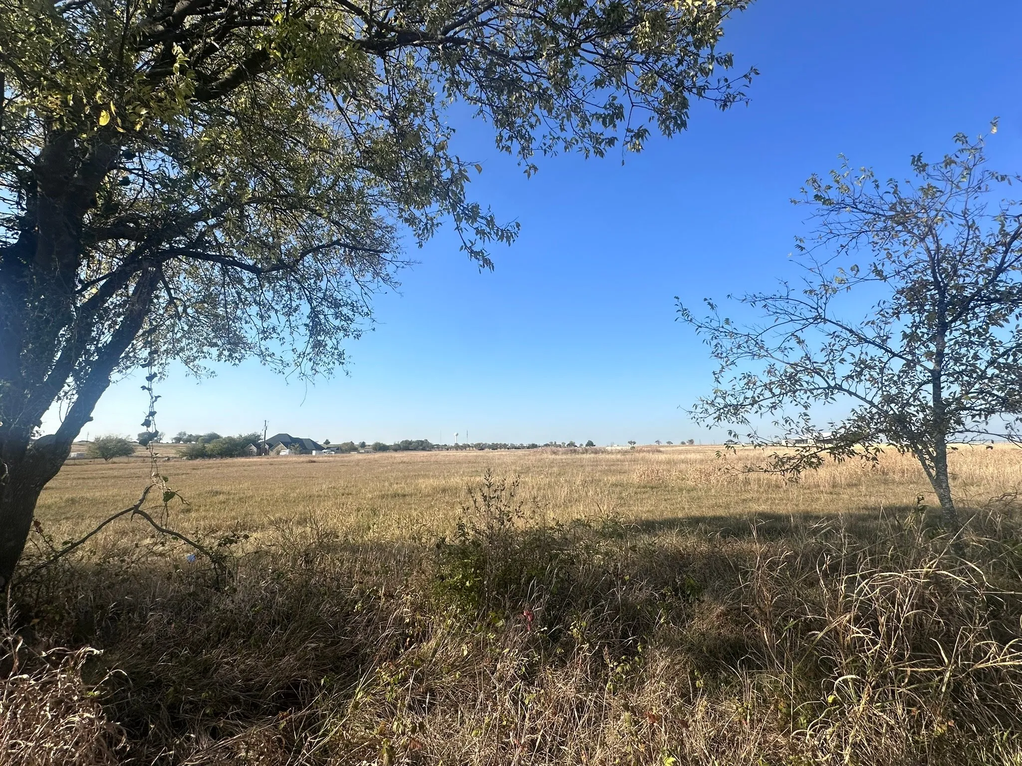 Unimproved Land For Sale in Ellis County , 1328 Old Maypearl Road, Waxahachie, Texas 75167, 0, 0, Garage spaces, 0 Sqft, built in 0, Price $715,000, mls#21109918, Real Estate Agent in Waxahachie, Homes For Sale in Ellis county, Homes For Sale in Waxahachie, Realtor in Waxahachie Texas, Real Estate Brokerage Independent Realty Texas, Luminita Cordes Realtor