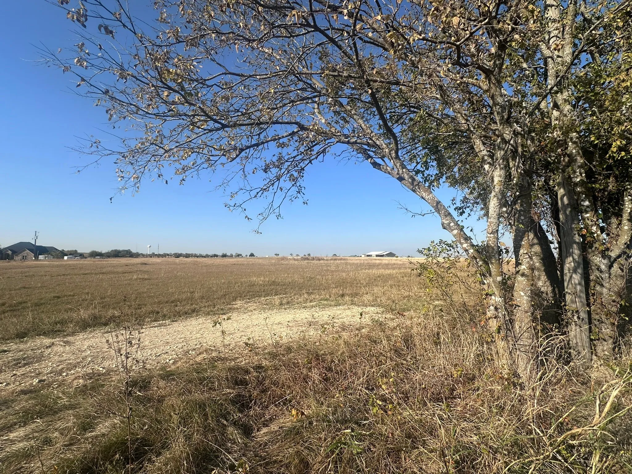 Unimproved Land For Sale in Ellis County , 1328 Old Maypearl Road, Waxahachie, Texas 75167, 0, 0, Garage spaces, 0 Sqft, built in 0, Price $715,000, mls#21109918, Real Estate Agent in Waxahachie, Homes For Sale in Ellis county, Homes For Sale in Waxahachie, Realtor in Waxahachie Texas, Real Estate Brokerage Independent Realty Texas, Luminita Cordes Realtor