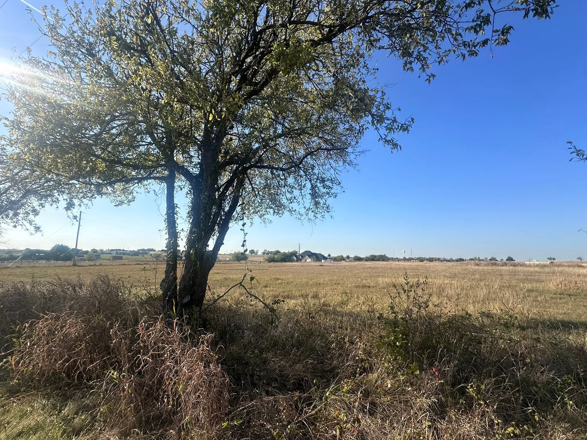 Unimproved Land For Sale in Ellis County , 1328 Old Maypearl Road, Waxahachie, Texas 75167, 0, 0, Garage spaces, 0 Sqft, built in 0, Price $715,000, mls#21109918, Real Estate Agent in Waxahachie, Homes For Sale in Ellis county, Homes For Sale in Waxahachie, Realtor in Waxahachie Texas, Real Estate Brokerage Independent Realty Texas, Luminita Cordes Realtor