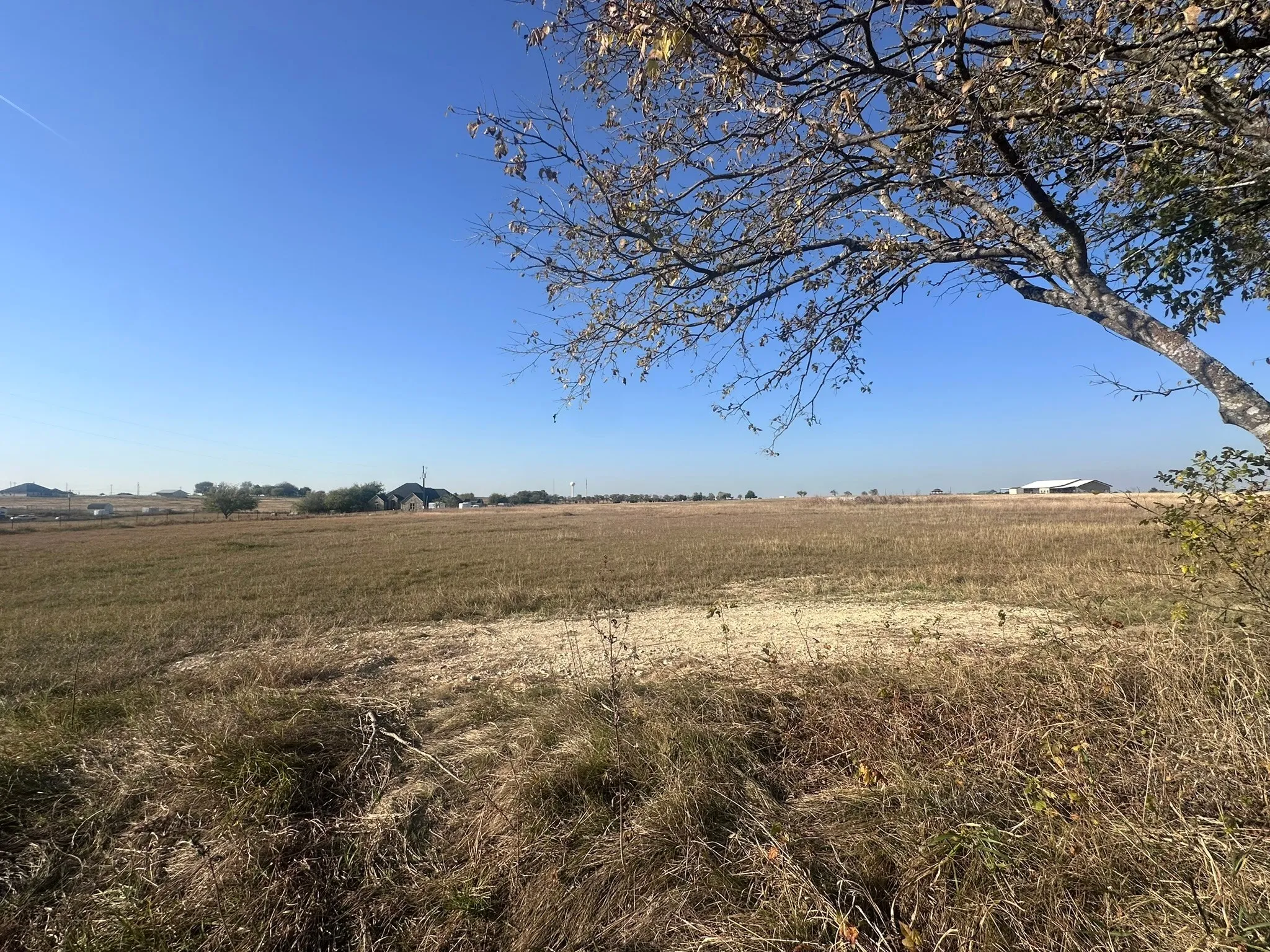 Unimproved Land For Sale in Ellis County , 1328 Old Maypearl Road, Waxahachie, Texas 75167, 0, 0, Garage spaces, 0 Sqft, built in 0, Price $715,000, mls#21109918, Real Estate Agent in Waxahachie, Homes For Sale in Ellis county, Homes For Sale in Waxahachie, Realtor in Waxahachie Texas, Real Estate Brokerage Independent Realty Texas, Luminita Cordes Realtor
