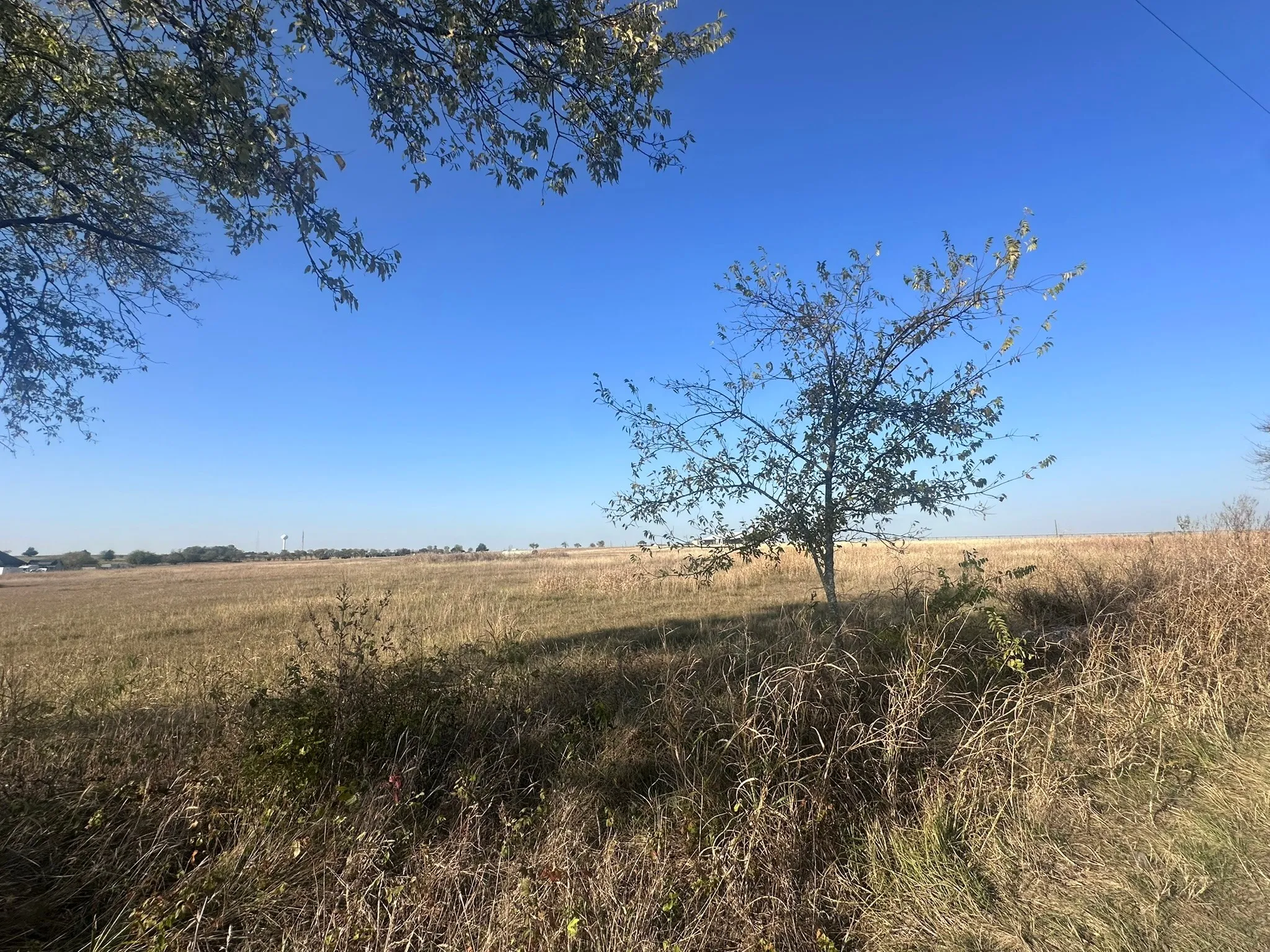 Unimproved Land For Sale in Ellis County , 1328 Old Maypearl Road, Waxahachie, Texas 75167, 0, 0, Garage spaces, 0 Sqft, built in 0, Price $715,000, mls#21109918, Real Estate Agent in Waxahachie, Homes For Sale in Ellis county, Homes For Sale in Waxahachie, Realtor in Waxahachie Texas, Real Estate Brokerage Independent Realty Texas, Luminita Cordes Realtor
