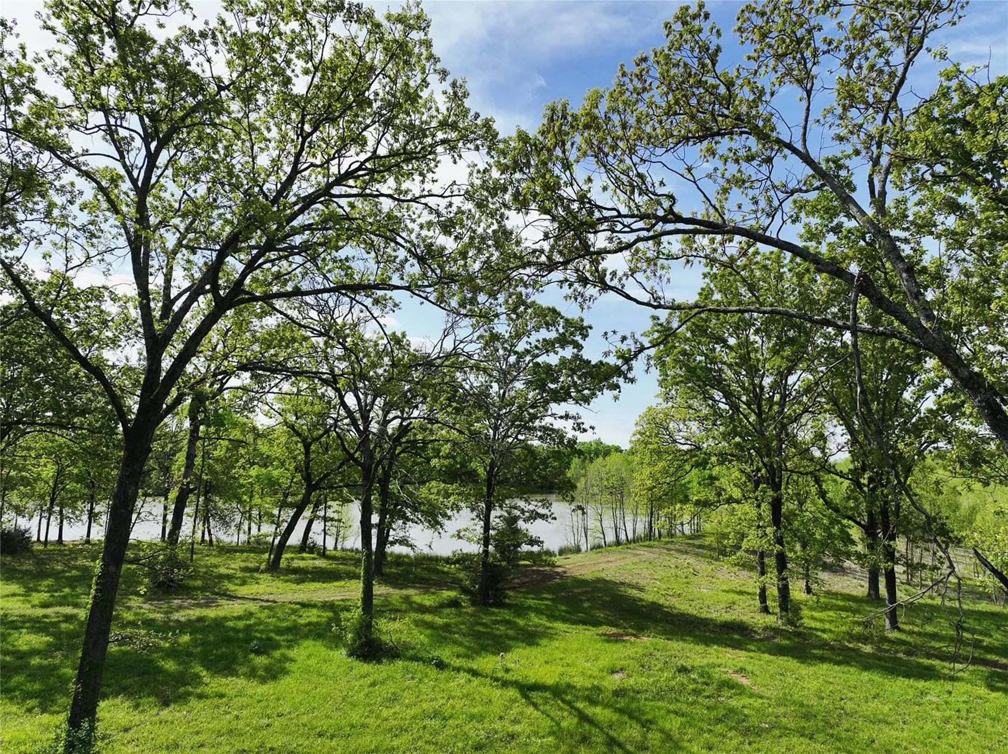Unimproved Land For Sale in Titus County , 50 CR 3227 #43, Mt Pleasant, Texas 75455, 0, 0, Garage spaces, 0 Sqft, built in 0, mls#21111796, Real Estate Agent in Mt Pleasant, Homes For Sale in Titus county, Homes For Sale in Mt Pleasant, Realtor in Mt Pleasant Texas, Real Estate Brokerage Independent Realty Texas, Luminita Cordes Realtor