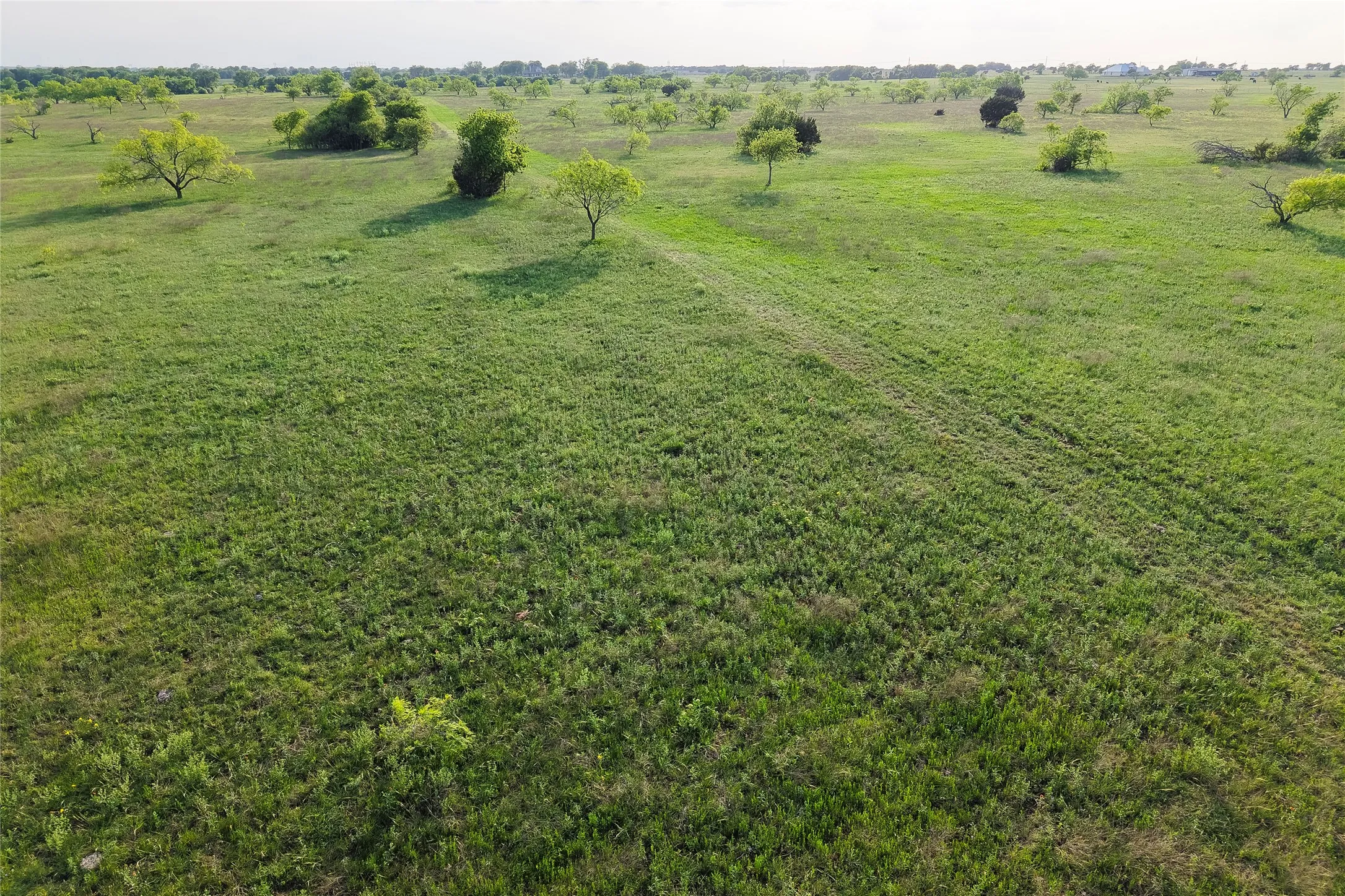 Unimproved Land For Sale in Mc Lennan County , TBD Rattler Hill Road, Mc Gregor, Texas 76657, 0, 0, Garage spaces, 0 Sqft, built in 0, Price $625,000, mls#21111814, Real Estate Agent in Mc Gregor, Homes For Sale in Mc Lennan county, Homes For Sale in Mc Gregor, Realtor in Mc Gregor Texas, Real Estate Brokerage Independent Realty Texas, Luminita Cordes Realtor