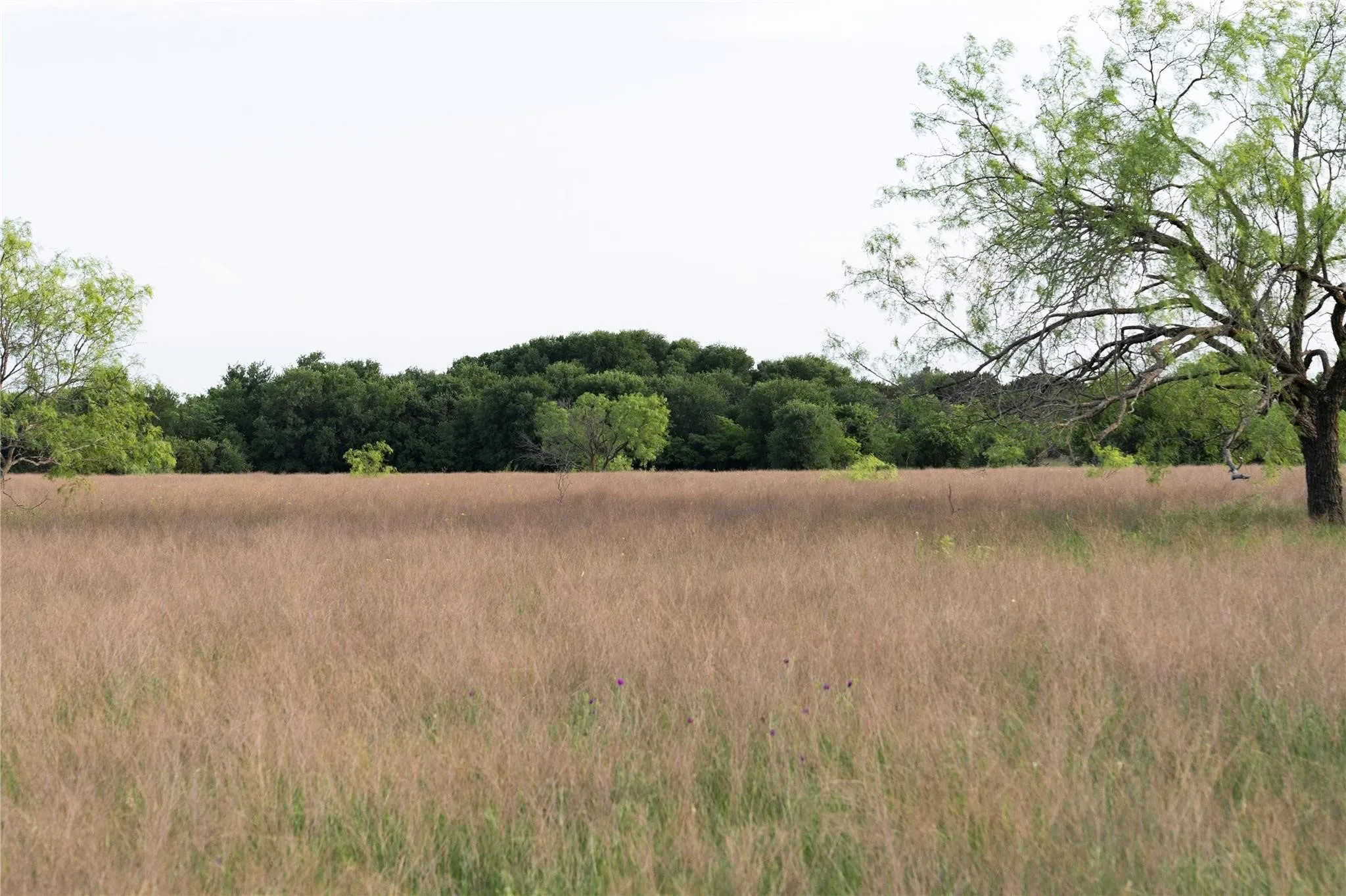 Unimproved Land For Sale in Mc Lennan County , TBD Rattler Hill Road, Mc Gregor, Texas 76657, 0, 0, Garage spaces, 0 Sqft, built in 0, Price $625,000, mls#21111814, Real Estate Agent in Mc Gregor, Homes For Sale in Mc Lennan county, Homes For Sale in Mc Gregor, Realtor in Mc Gregor Texas, Real Estate Brokerage Independent Realty Texas, Luminita Cordes Realtor