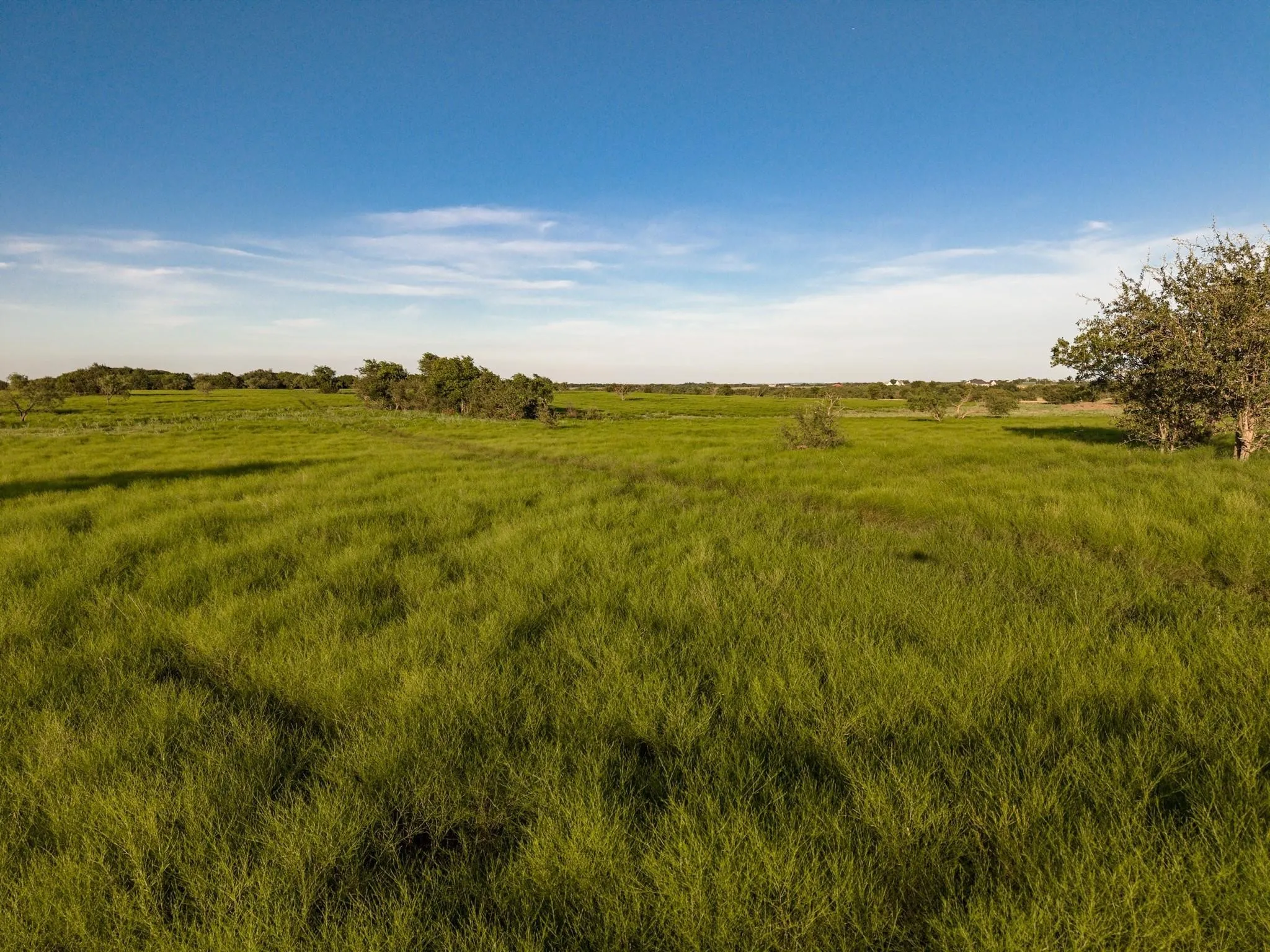 Unimproved Land For Sale in Mc Lennan County , TBD Rattler Hill Road, Mc Gregor, Texas 76657, 0, 0, Garage spaces, 0 Sqft, built in 0, Price $625,000, mls#21111814, Real Estate Agent in Mc Gregor, Homes For Sale in Mc Lennan county, Homes For Sale in Mc Gregor, Realtor in Mc Gregor Texas, Real Estate Brokerage Independent Realty Texas, Luminita Cordes Realtor