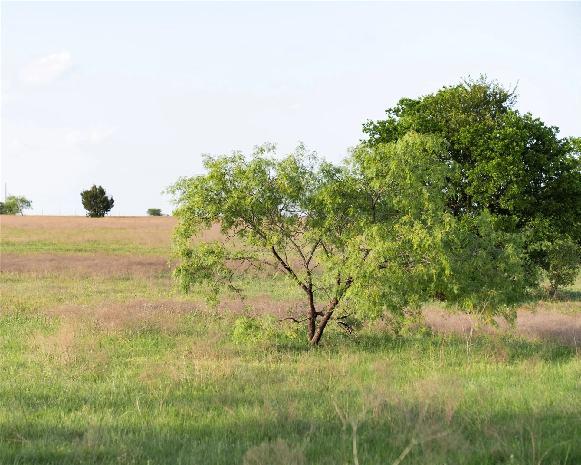 Unimproved Land For Sale in Mc Lennan County , TBD Rattler Hill Road, Mc Gregor, Texas 76657, 0, 0, Garage spaces, 0 Sqft, built in 0, Price $625,000, mls#21111814, Real Estate Agent in Mc Gregor, Homes For Sale in Mc Lennan county, Homes For Sale in Mc Gregor, Realtor in Mc Gregor Texas, Real Estate Brokerage Independent Realty Texas, Luminita Cordes Realtor
