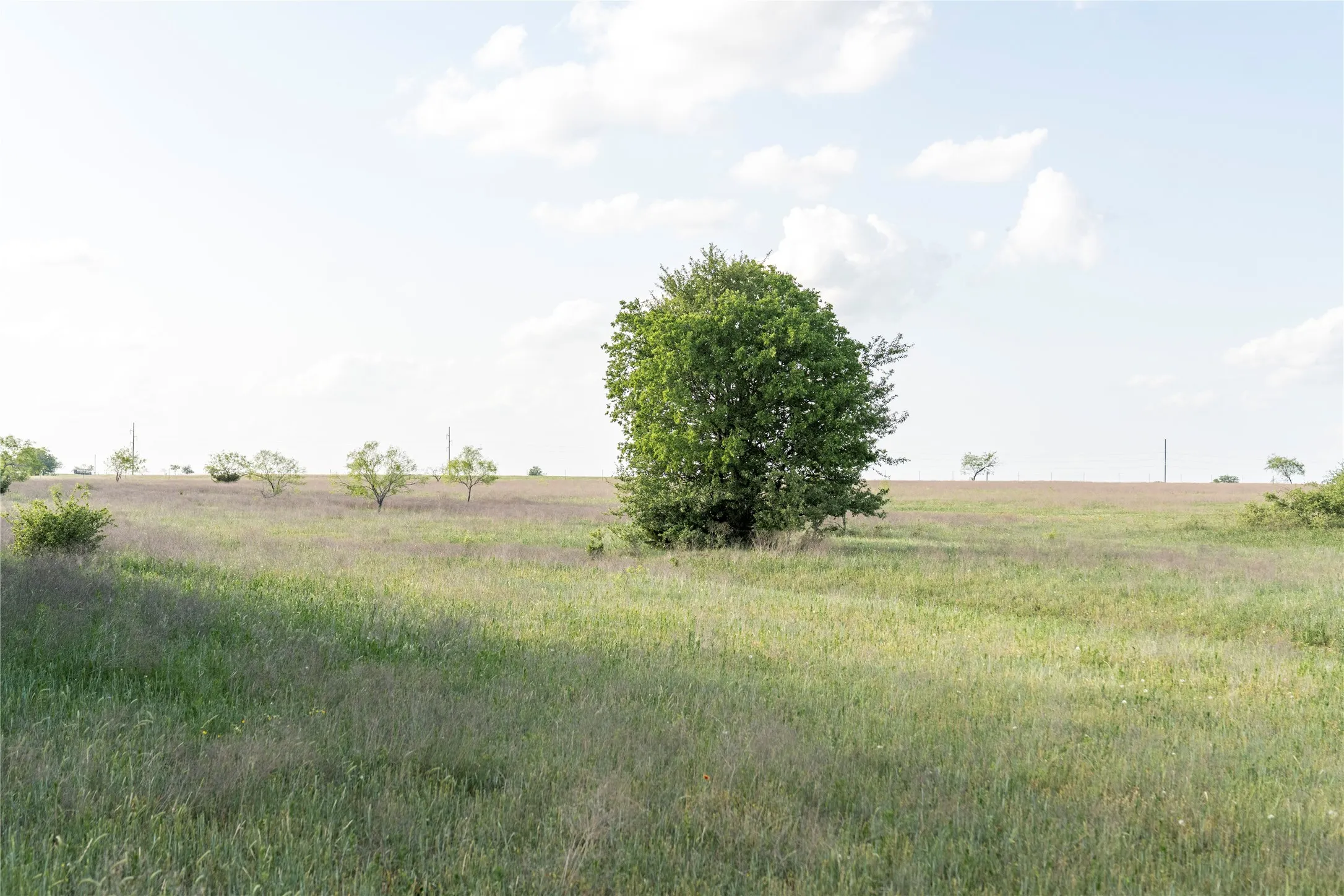 Unimproved Land For Sale in Mc Lennan County , TBD Rattler Hill Road, Mc Gregor, Texas 76657, 0, 0, Garage spaces, 0 Sqft, built in 0, Price $625,000, mls#21111814, Real Estate Agent in Mc Gregor, Homes For Sale in Mc Lennan county, Homes For Sale in Mc Gregor, Realtor in Mc Gregor Texas, Real Estate Brokerage Independent Realty Texas, Luminita Cordes Realtor