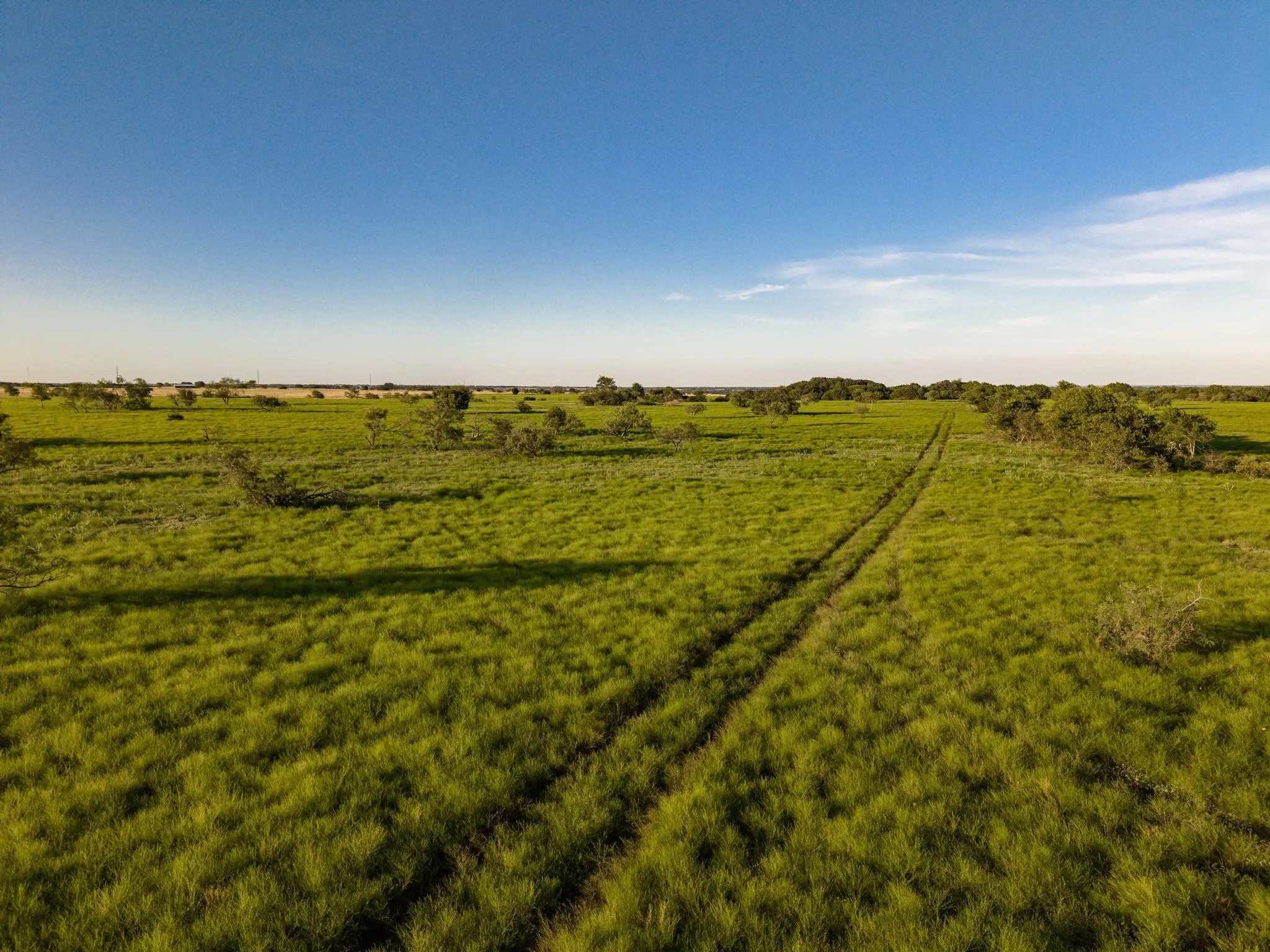 Unimproved Land For Sale in Mc Lennan County , TBD Rattler Hill Road, Mc Gregor, Texas 76657, 0, 0, Garage spaces, 0 Sqft, built in 0, Price $625,000, mls#21111814, Real Estate Agent in Mc Gregor, Homes For Sale in Mc Lennan county, Homes For Sale in Mc Gregor, Realtor in Mc Gregor Texas, Real Estate Brokerage Independent Realty Texas, Luminita Cordes Realtor