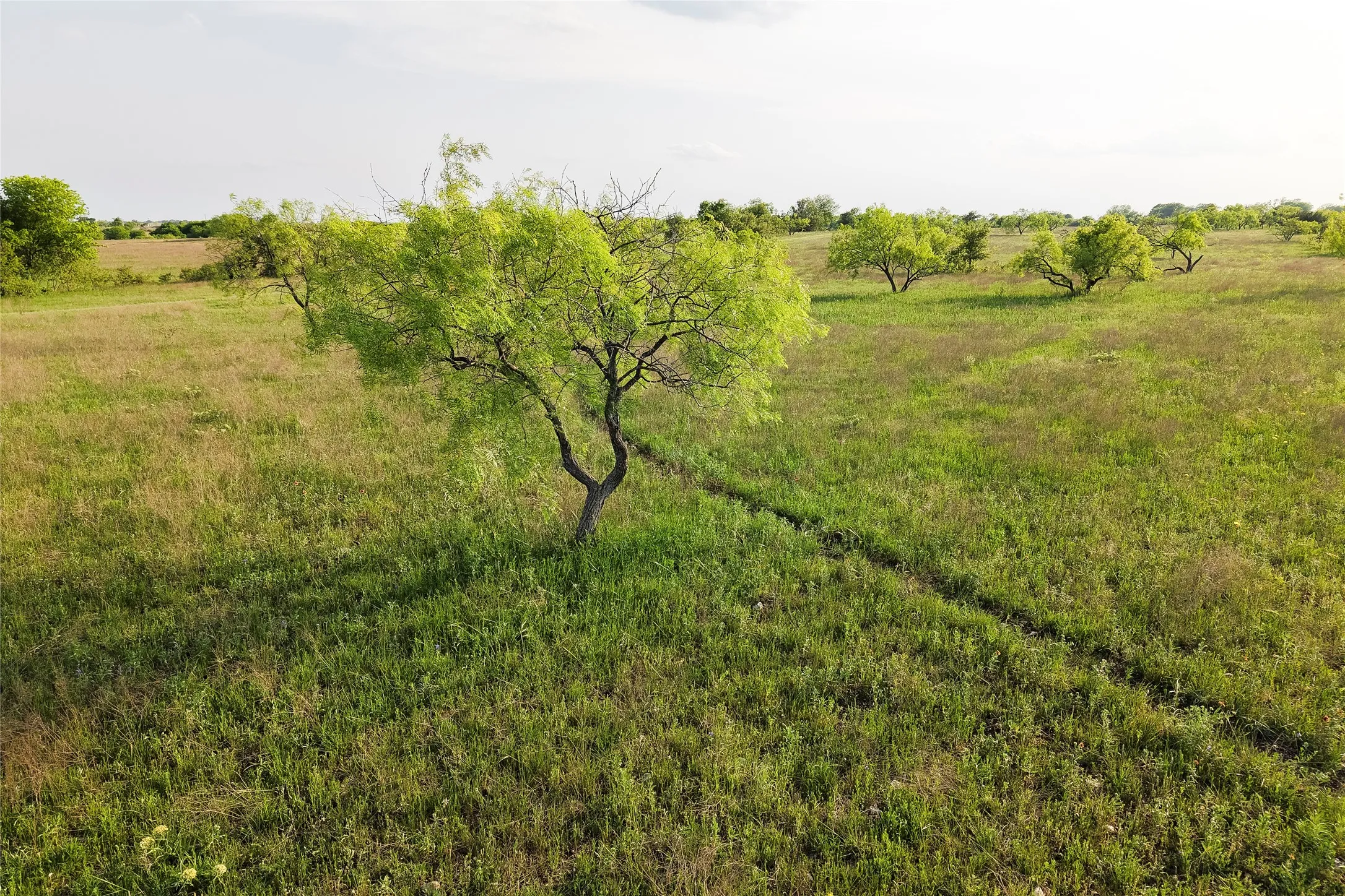 Unimproved Land For Sale in Mc Lennan County , TBD Rattler Hill Road, Mc Gregor, Texas 76657, 0, 0, Garage spaces, 0 Sqft, built in 0, Price $625,000, mls#21111814, Real Estate Agent in Mc Gregor, Homes For Sale in Mc Lennan county, Homes For Sale in Mc Gregor, Realtor in Mc Gregor Texas, Real Estate Brokerage Independent Realty Texas, Luminita Cordes Realtor