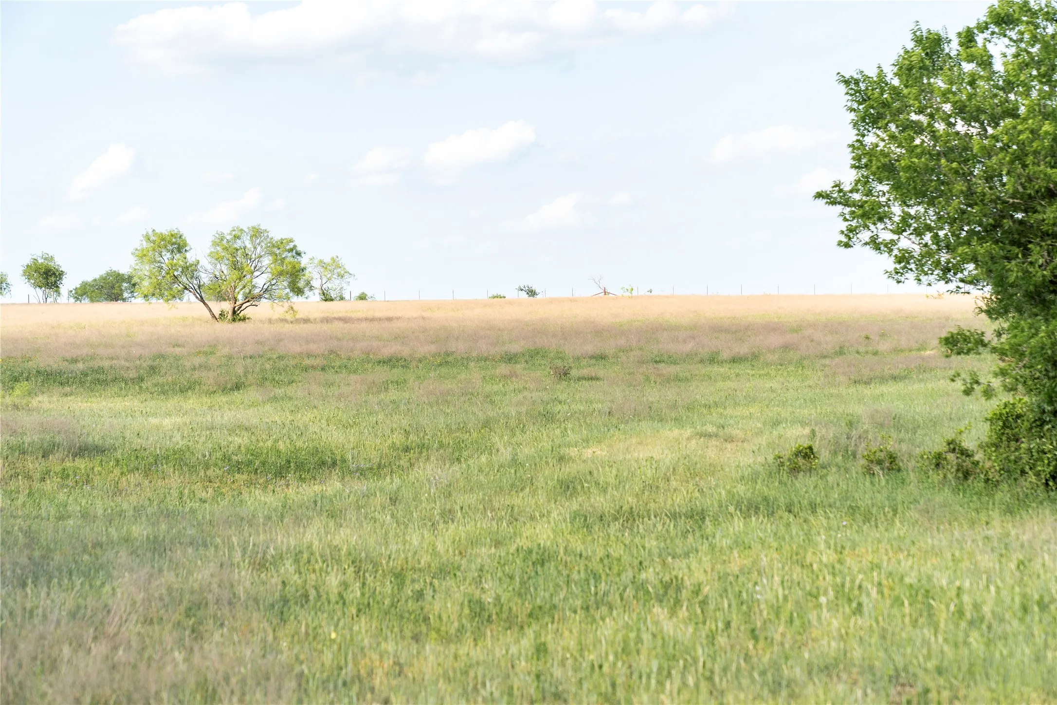 Unimproved Land For Sale in Mc Lennan County , TBD Rattler Hill Road, Mc Gregor, Texas 76657, 0, 0, Garage spaces, 0 Sqft, built in 0, Price $625,000, mls#21111814, Real Estate Agent in Mc Gregor, Homes For Sale in Mc Lennan county, Homes For Sale in Mc Gregor, Realtor in Mc Gregor Texas, Real Estate Brokerage Independent Realty Texas, Luminita Cordes Realtor