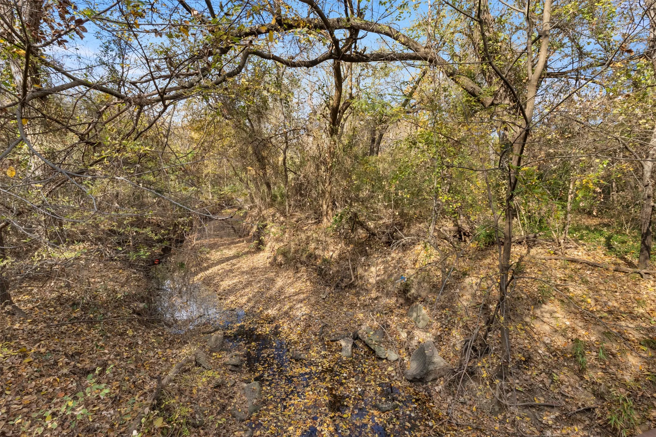 View of nature