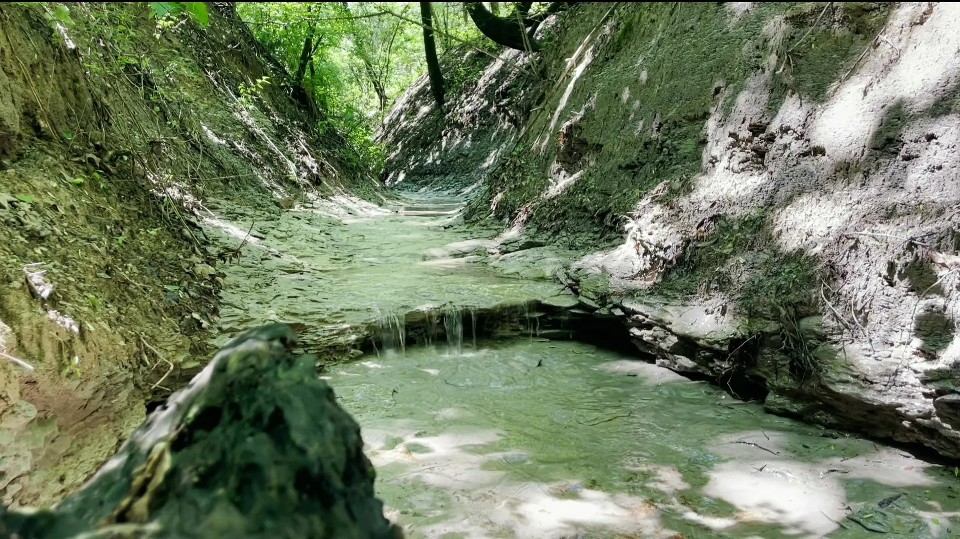 Unimproved Land For Sale in Grayson County , Tract 2, Key Road, Sherman, Texas 75090, 0, 0, Garage spaces, 0 Sqft, built in 0, Price $395,000, mls#21111980, Real Estate Agent in Sherman, Homes For Sale in Grayson county, Homes For Sale in Sherman, Realtor in Sherman Texas, Real Estate Brokerage Independent Realty Texas, Luminita Cordes Realtor