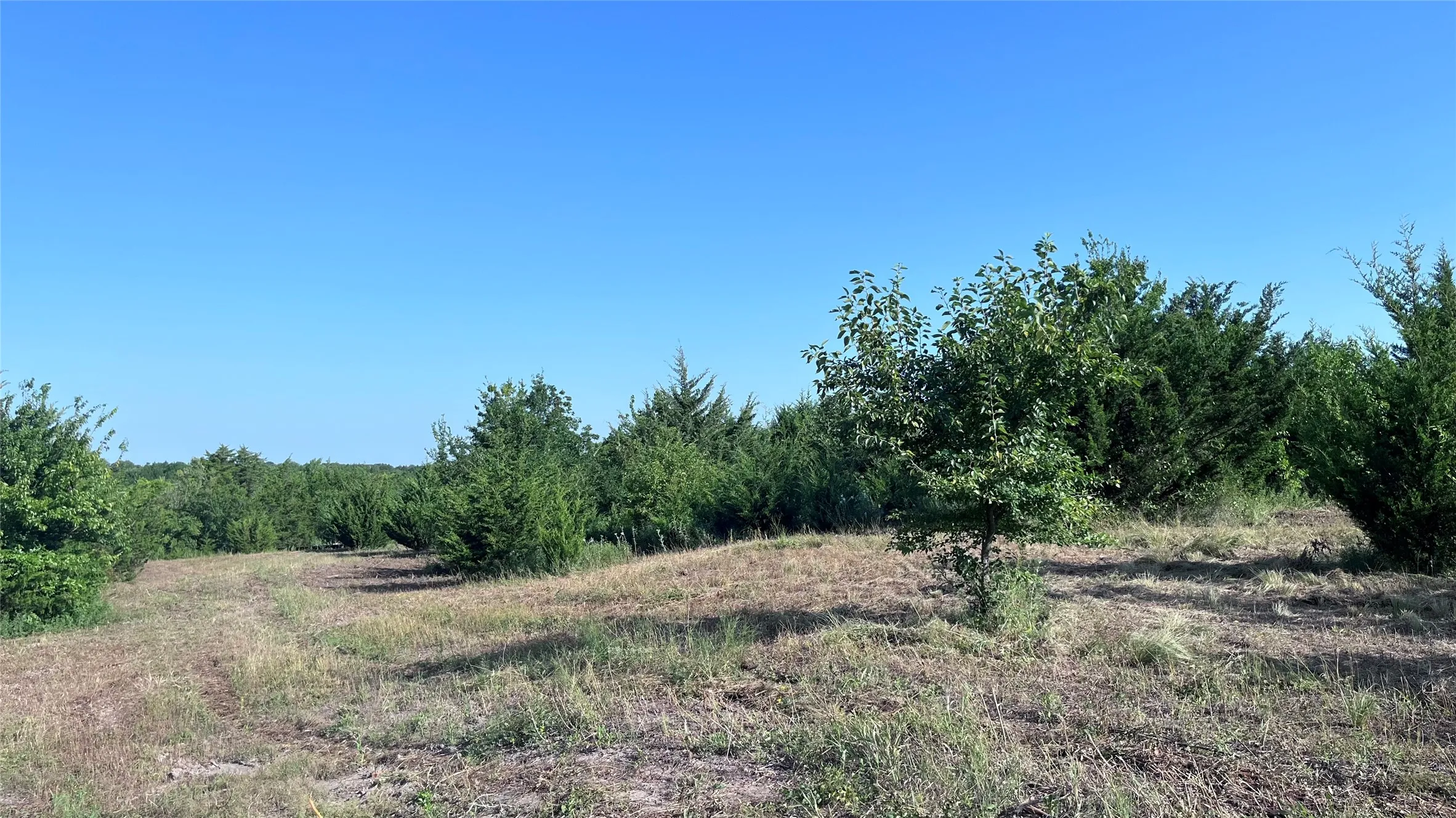 Unimproved Land For Sale in Grayson County , Tract 2, Key Road, Sherman, Texas 75090, 0, 0, Garage spaces, 0 Sqft, built in 0, Price $395,000, mls#21111980, Real Estate Agent in Sherman, Homes For Sale in Grayson county, Homes For Sale in Sherman, Realtor in Sherman Texas, Real Estate Brokerage Independent Realty Texas, Luminita Cordes Realtor