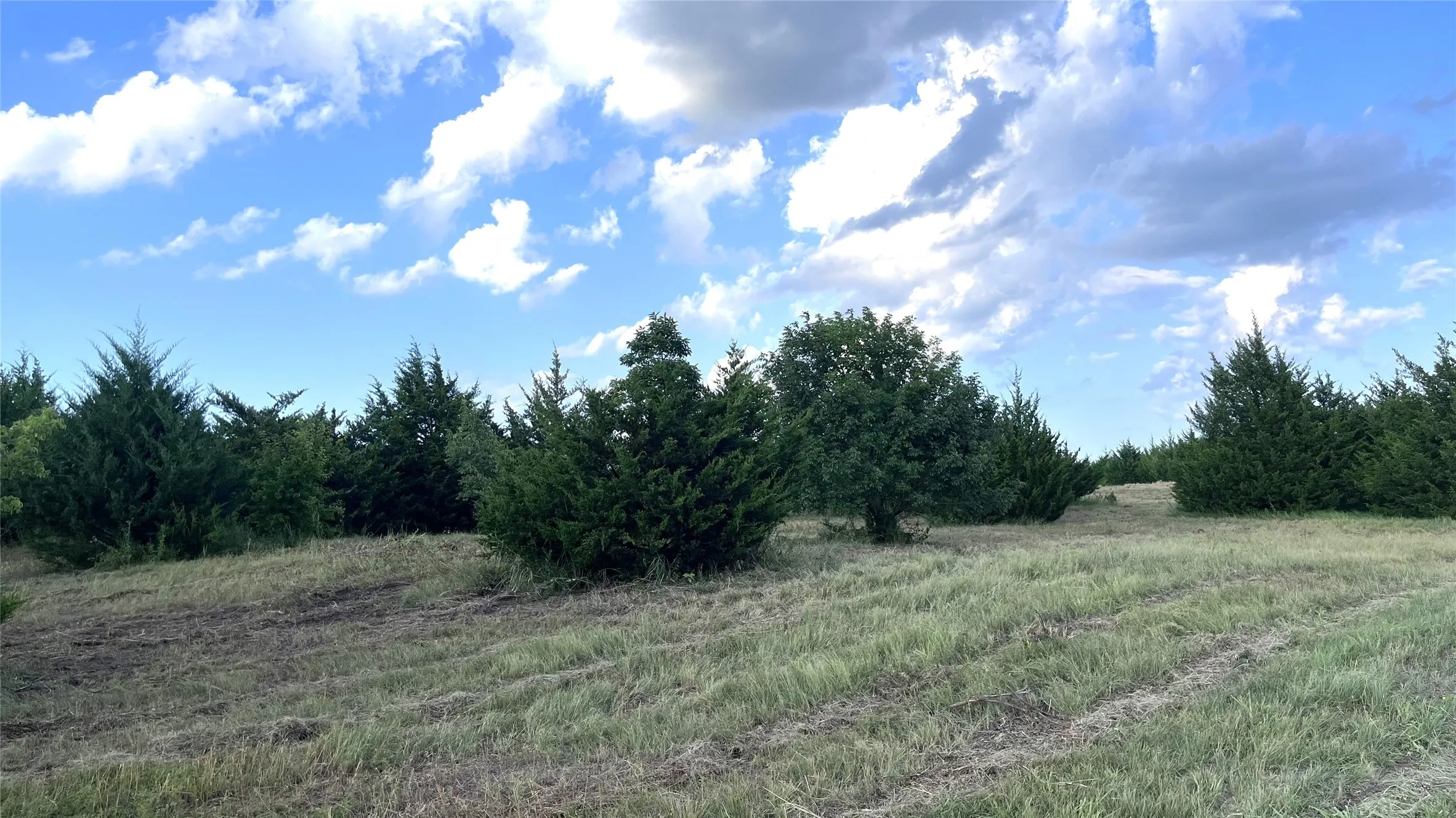 Unimproved Land For Sale in Grayson County , Tract 2, Key Road, Sherman, Texas 75090, 0, 0, Garage spaces, 0 Sqft, built in 0, Price $395,000, mls#21111980, Real Estate Agent in Sherman, Homes For Sale in Grayson county, Homes For Sale in Sherman, Realtor in Sherman Texas, Real Estate Brokerage Independent Realty Texas, Luminita Cordes Realtor