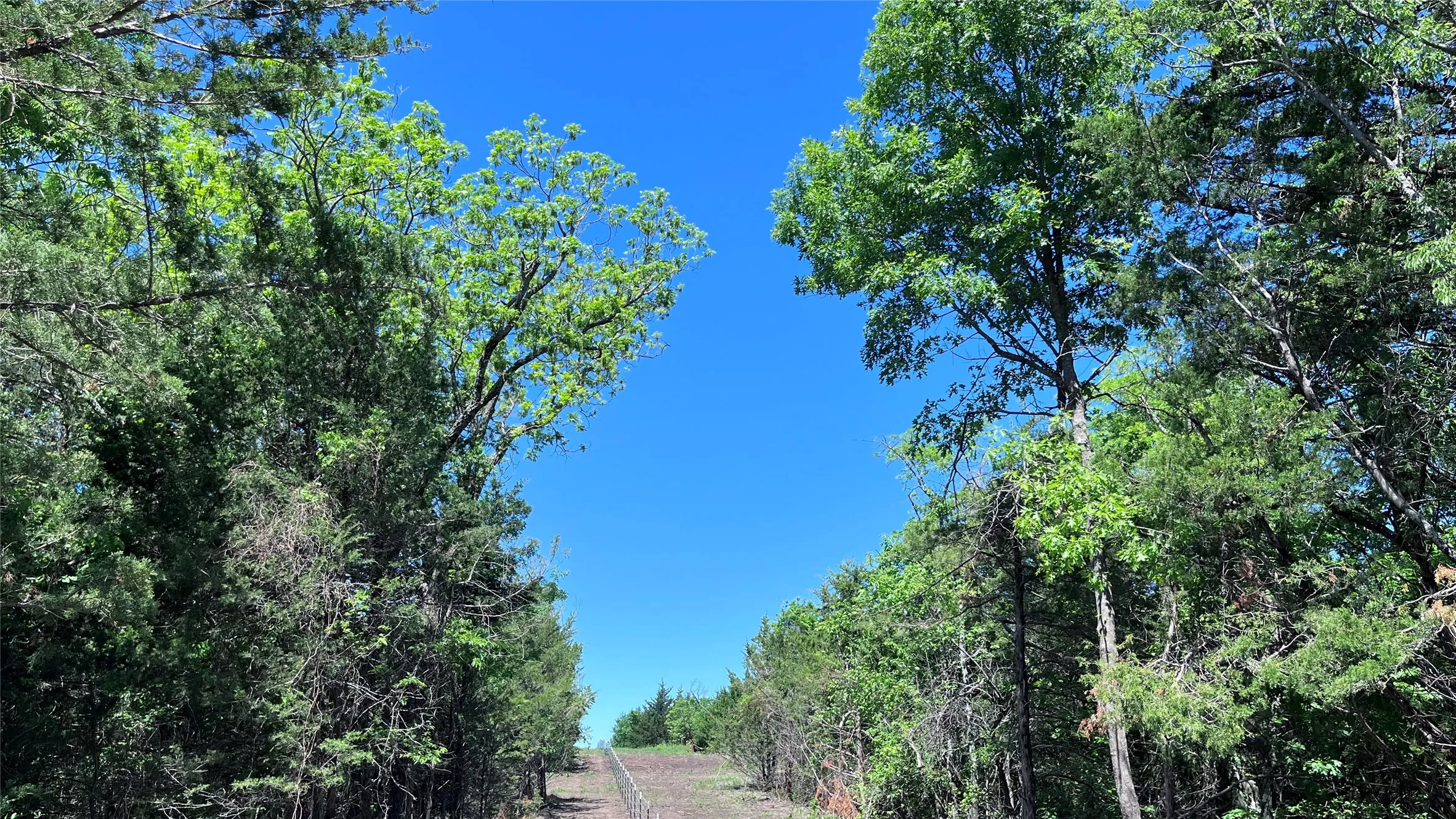 Unimproved Land For Sale in Grayson County , Tract 2, Key Road, Sherman, Texas 75090, 0, 0, Garage spaces, 0 Sqft, built in 0, Price $395,000, mls#21111980, Real Estate Agent in Sherman, Homes For Sale in Grayson county, Homes For Sale in Sherman, Realtor in Sherman Texas, Real Estate Brokerage Independent Realty Texas, Luminita Cordes Realtor