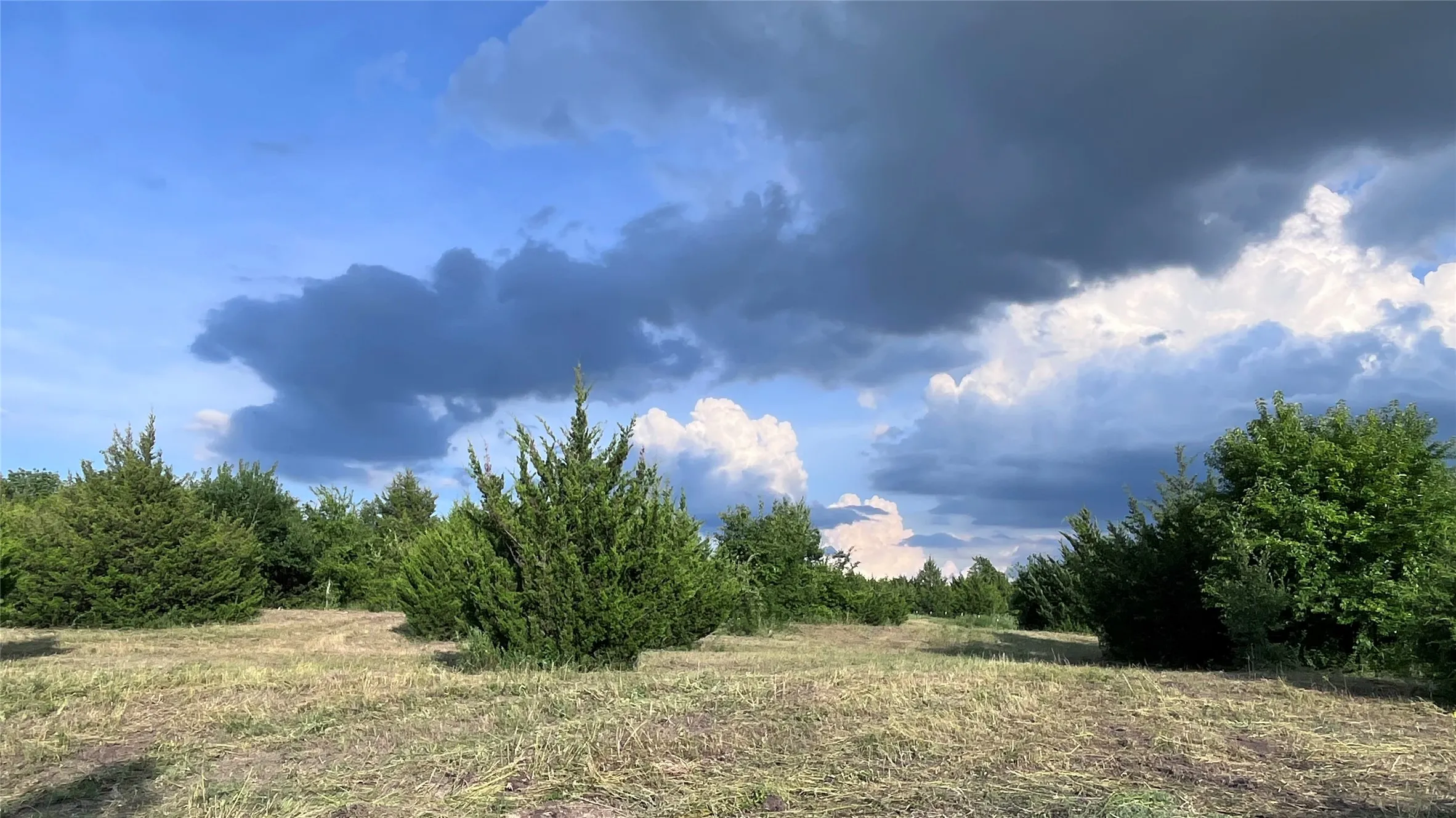 Unimproved Land For Sale in Grayson County , Tract 2, Key Road, Sherman, Texas 75090, 0, 0, Garage spaces, 0 Sqft, built in 0, Price $395,000, mls#21111980, Real Estate Agent in Sherman, Homes For Sale in Grayson county, Homes For Sale in Sherman, Realtor in Sherman Texas, Real Estate Brokerage Independent Realty Texas, Luminita Cordes Realtor