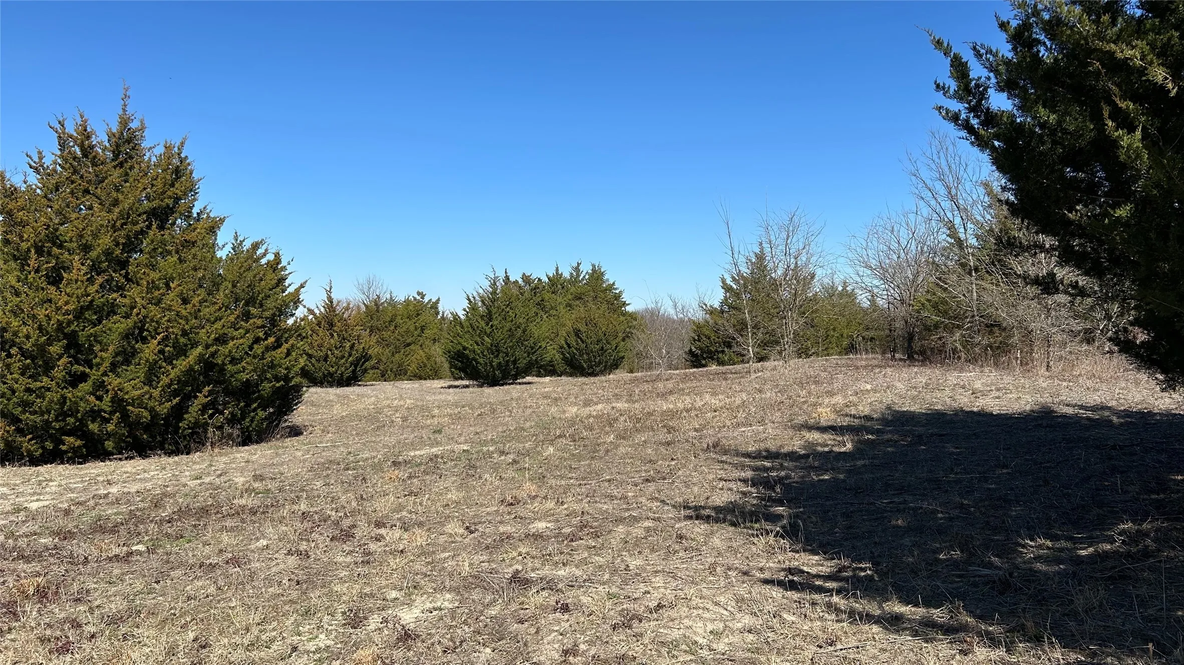 Unimproved Land For Sale in Grayson County , Tract 1, Key Road, Sherman, Texas 75090, 0, 0, Garage spaces, 0 Sqft, built in 0, mls#21111970, Real Estate Agent in Sherman, Homes For Sale in Grayson county, Homes For Sale in Sherman, Realtor in Sherman Texas, Real Estate Brokerage Independent Realty Texas, Luminita Cordes Realtor