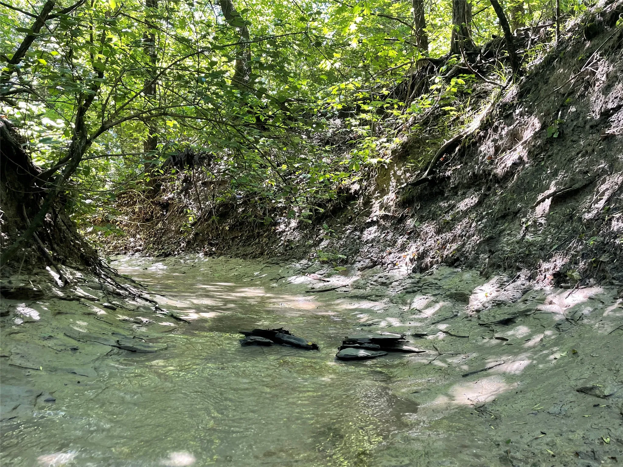 Unimproved Land For Sale in Grayson County , Tract 1, Key Road, Sherman, Texas 75090, 0, 0, Garage spaces, 0 Sqft, built in 0, mls#21111970, Real Estate Agent in Sherman, Homes For Sale in Grayson county, Homes For Sale in Sherman, Realtor in Sherman Texas, Real Estate Brokerage Independent Realty Texas, Luminita Cordes Realtor