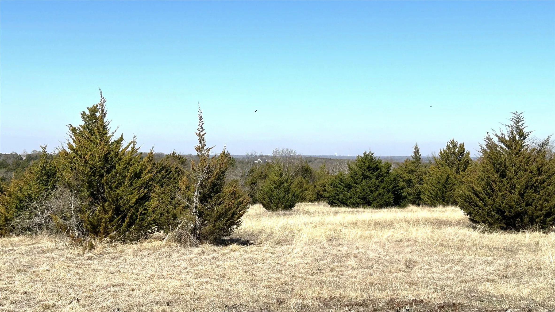Unimproved Land For Sale in Grayson County , Tract 1, Key Road, Sherman, Texas 75090, 0, 0, Garage spaces, 0 Sqft, built in 0, mls#21111970, Real Estate Agent in Sherman, Homes For Sale in Grayson county, Homes For Sale in Sherman, Realtor in Sherman Texas, Real Estate Brokerage Independent Realty Texas, Luminita Cordes Realtor