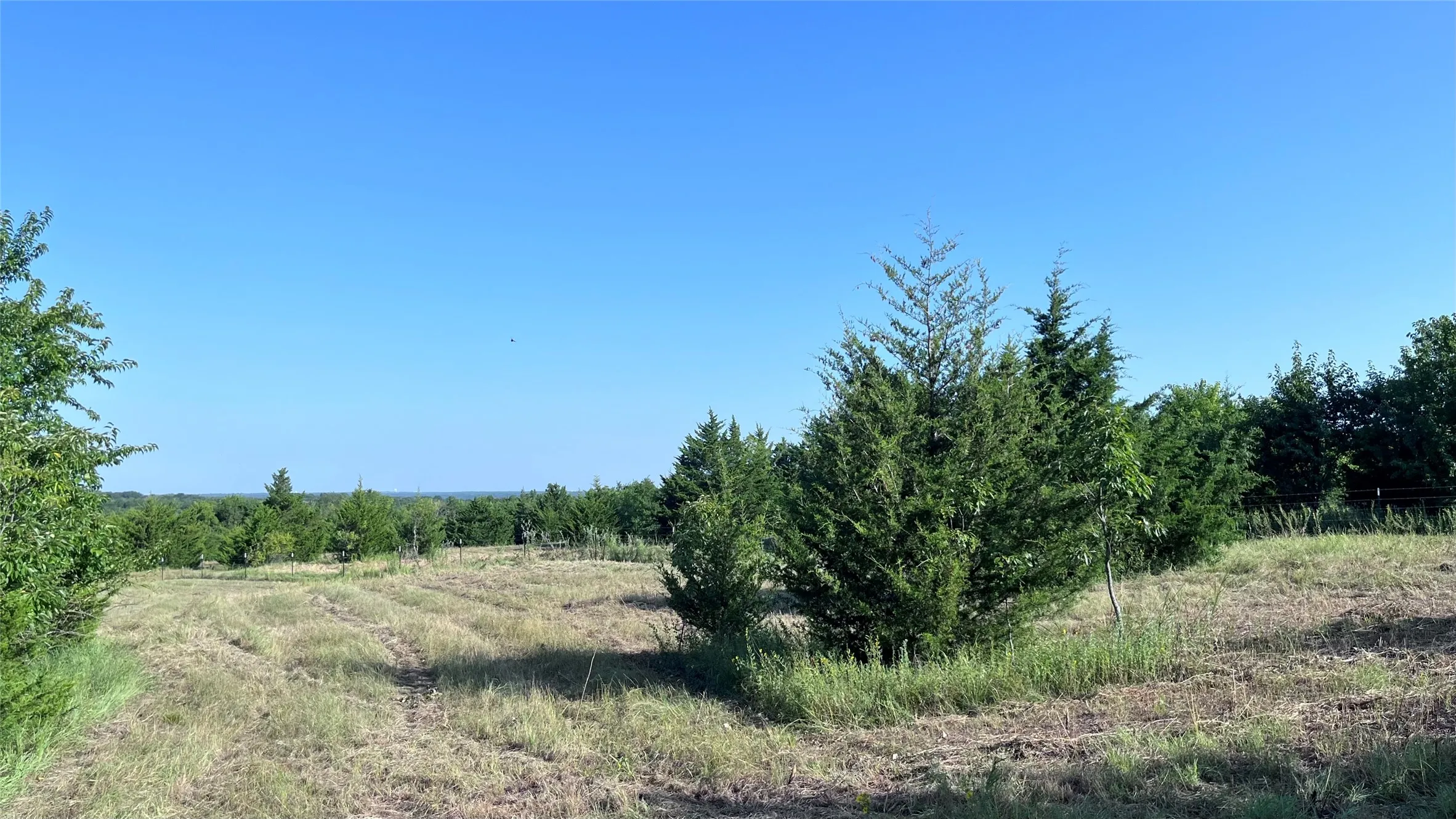 Unimproved Land For Sale in Grayson County , Tract 1, Key Road, Sherman, Texas 75090, 0, 0, Garage spaces, 0 Sqft, built in 0, mls#21111970, Real Estate Agent in Sherman, Homes For Sale in Grayson county, Homes For Sale in Sherman, Realtor in Sherman Texas, Real Estate Brokerage Independent Realty Texas, Luminita Cordes Realtor