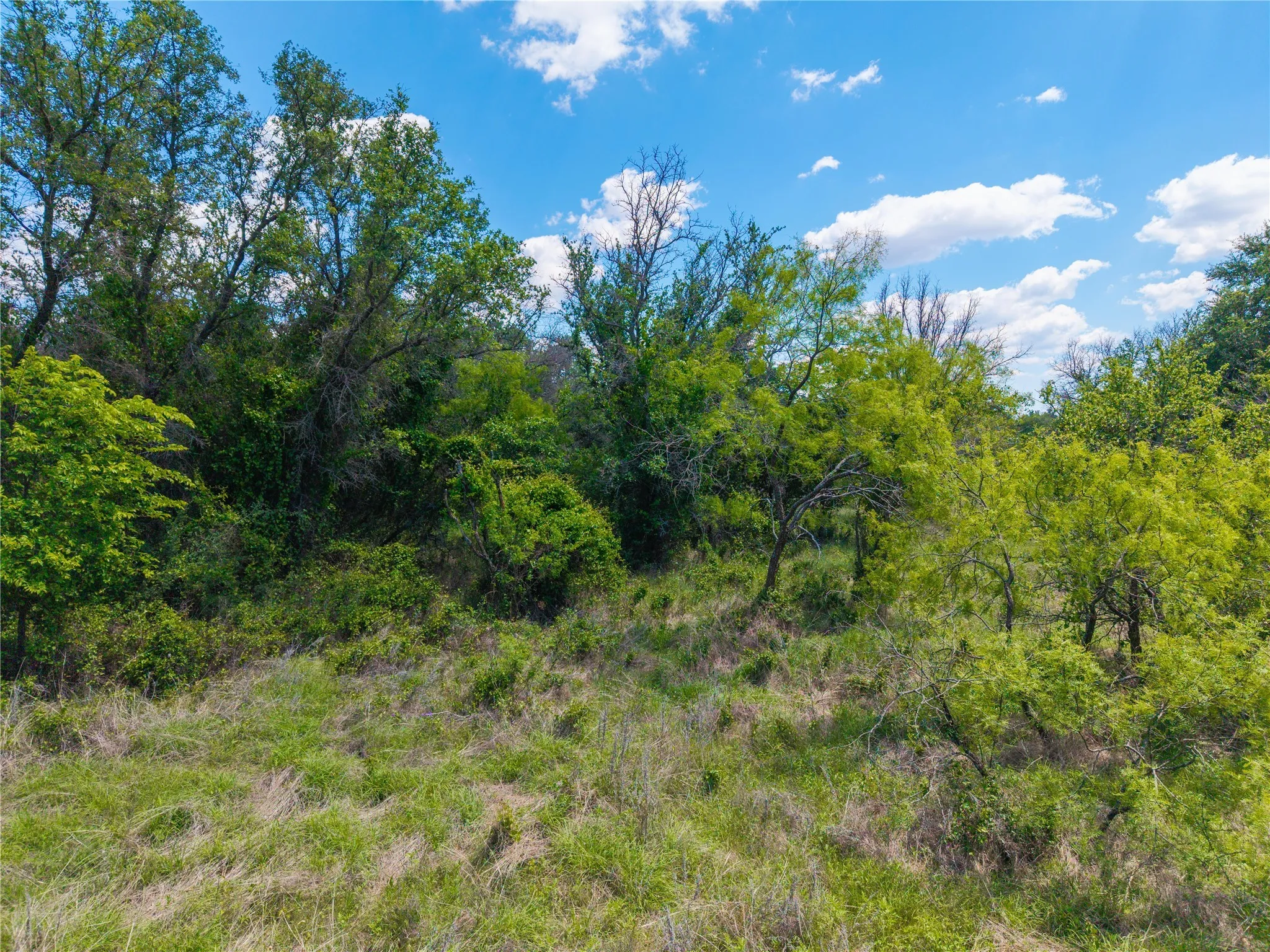 Improved Land For Sale in Brown County , 8548 County Road 332, Blanket, Texas 76432, 0, 0, Garage spaces, 0 Sqft, built in 0, Price $82,000, mls#21109867, Real Estate Agent in Blanket, Homes For Sale in Brown county, Homes For Sale in Blanket, Realtor in Blanket Texas, Real Estate Brokerage Independent Realty Texas, Luminita Cordes Realtor