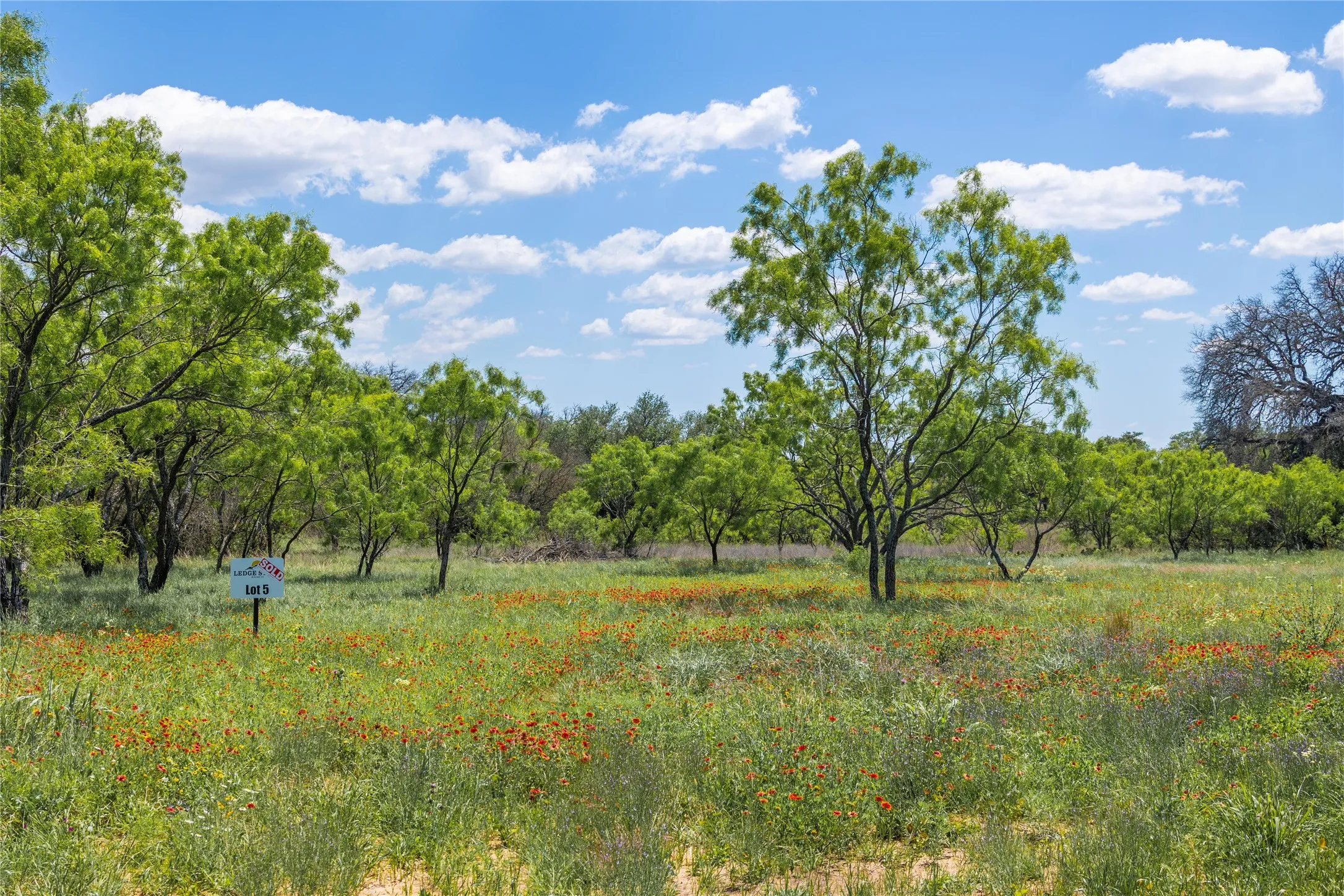 Improved Land For Sale in Brown County , 8548 County Road 332, Blanket, Texas 76432, 0, 0, Garage spaces, 0 Sqft, built in 0, Price $82,000, mls#21109867, Real Estate Agent in Blanket, Homes For Sale in Brown county, Homes For Sale in Blanket, Realtor in Blanket Texas, Real Estate Brokerage Independent Realty Texas, Luminita Cordes Realtor