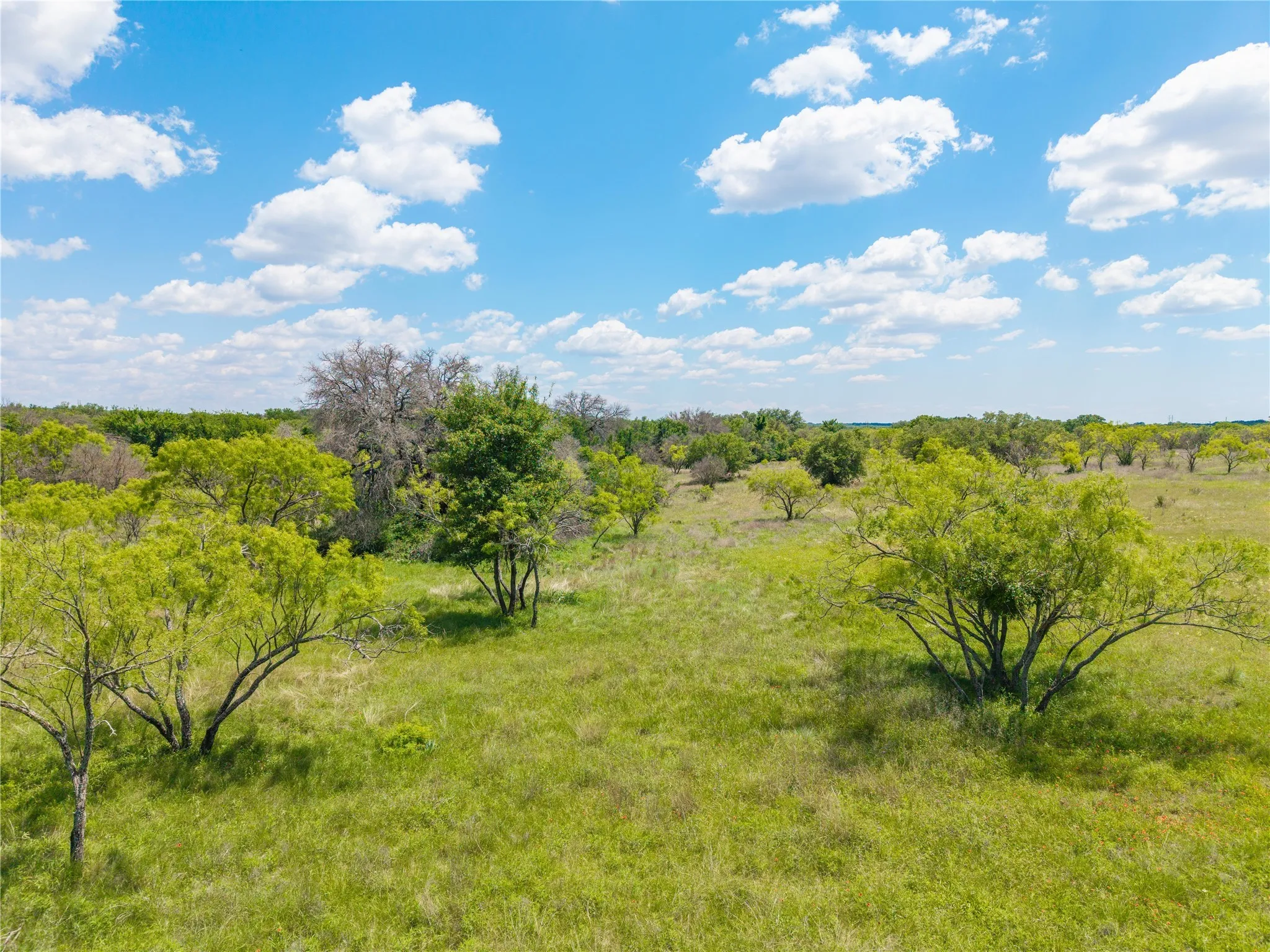 Improved Land For Sale in Brown County , 8548 County Road 332, Blanket, Texas 76432, 0, 0, Garage spaces, 0 Sqft, built in 0, Price $82,000, mls#21109867, Real Estate Agent in Blanket, Homes For Sale in Brown county, Homes For Sale in Blanket, Realtor in Blanket Texas, Real Estate Brokerage Independent Realty Texas, Luminita Cordes Realtor