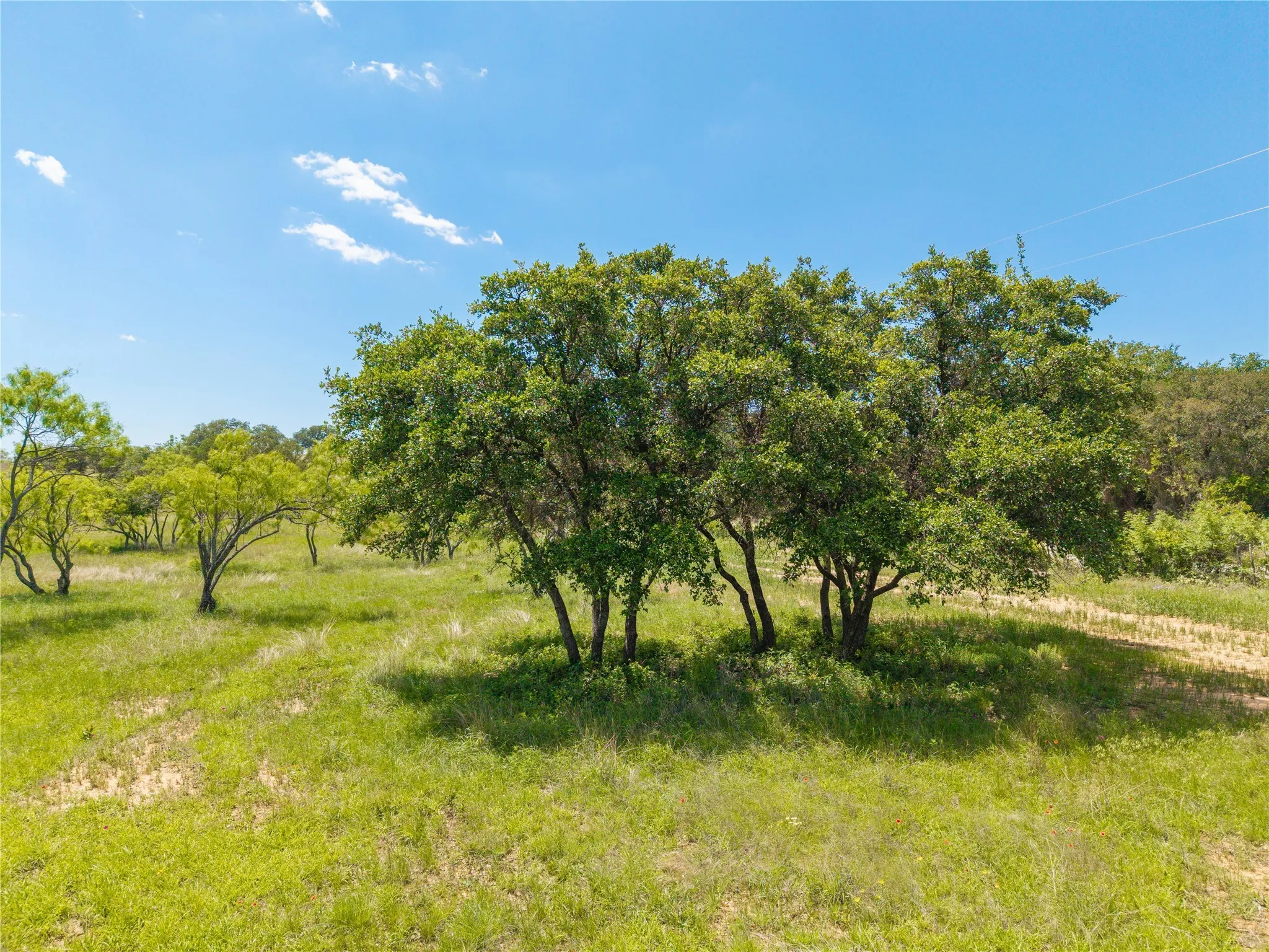 Improved Land For Sale in Brown County , 8548 County Road 332, Blanket, Texas 76432, 0, 0, Garage spaces, 0 Sqft, built in 0, Price $82,000, mls#21109867, Real Estate Agent in Blanket, Homes For Sale in Brown county, Homes For Sale in Blanket, Realtor in Blanket Texas, Real Estate Brokerage Independent Realty Texas, Luminita Cordes Realtor
