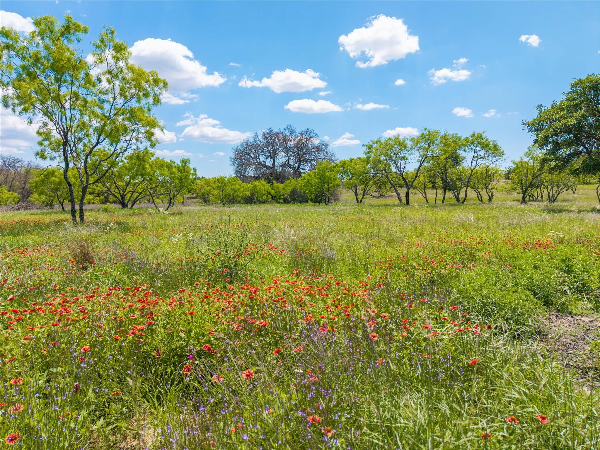 Improved Land For Sale in Brown County , 8548 County Road 332, Blanket, Texas 76432, 0, 0, Garage spaces, 0 Sqft, built in 0, Price $82,000, mls#21109867, Real Estate Agent in Blanket, Homes For Sale in Brown county, Homes For Sale in Blanket, Realtor in Blanket Texas, Real Estate Brokerage Independent Realty Texas, Luminita Cordes Realtor