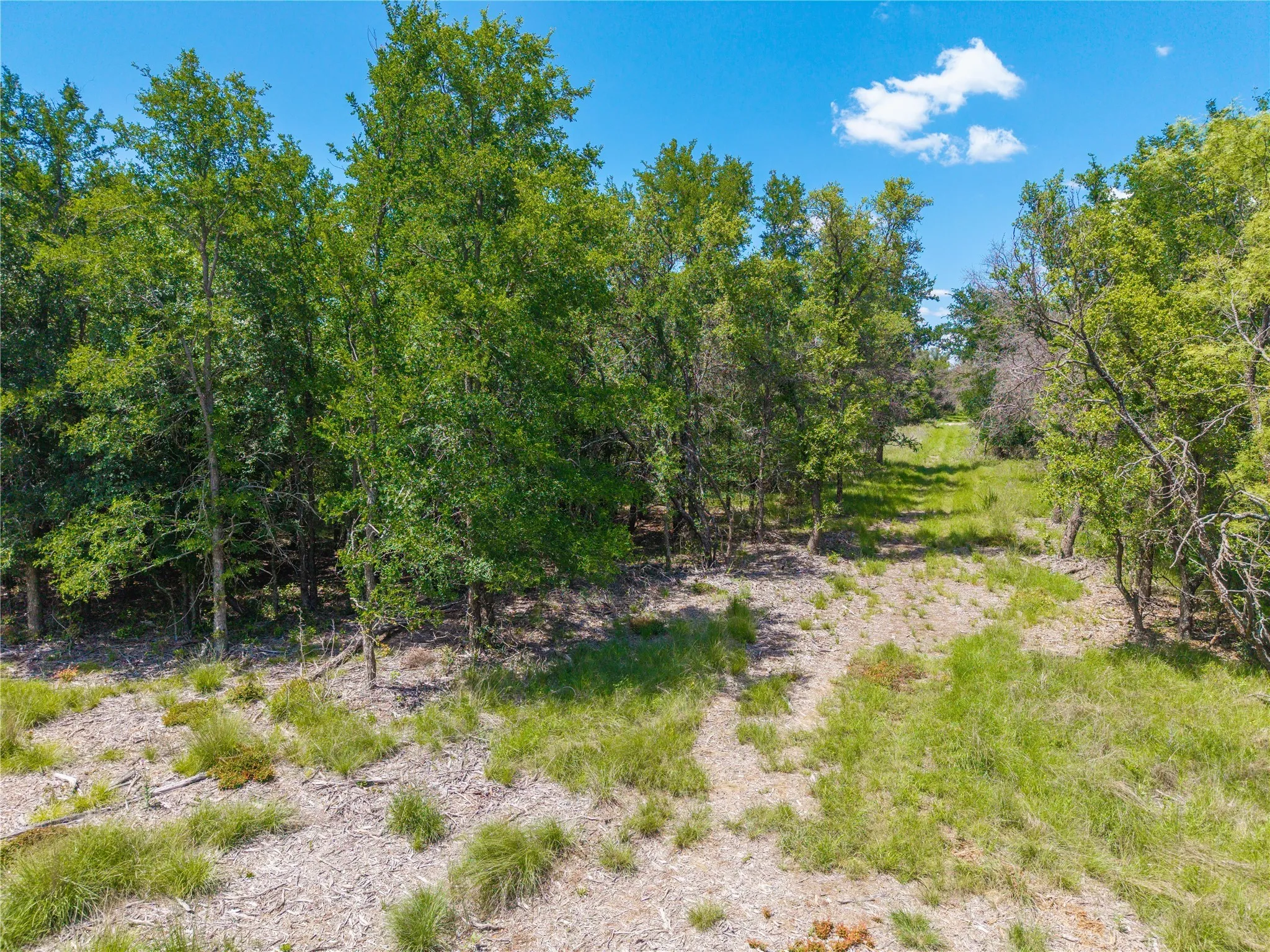 Improved Land For Sale in Brown County , 8548 County Road 332, Blanket, Texas 76432, 0, 0, Garage spaces, 0 Sqft, built in 0, Price $82,000, mls#21109867, Real Estate Agent in Blanket, Homes For Sale in Brown county, Homes For Sale in Blanket, Realtor in Blanket Texas, Real Estate Brokerage Independent Realty Texas, Luminita Cordes Realtor
