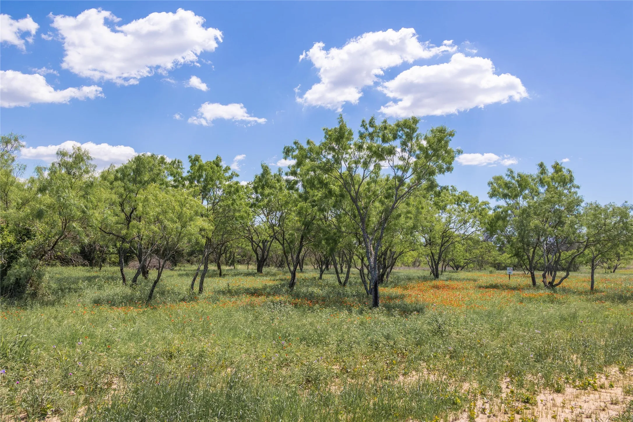 Improved Land For Sale in Brown County , 8548 County Road 332, Blanket, Texas 76432, 0, 0, Garage spaces, 0 Sqft, built in 0, Price $82,000, mls#21109867, Real Estate Agent in Blanket, Homes For Sale in Brown county, Homes For Sale in Blanket, Realtor in Blanket Texas, Real Estate Brokerage Independent Realty Texas, Luminita Cordes Realtor