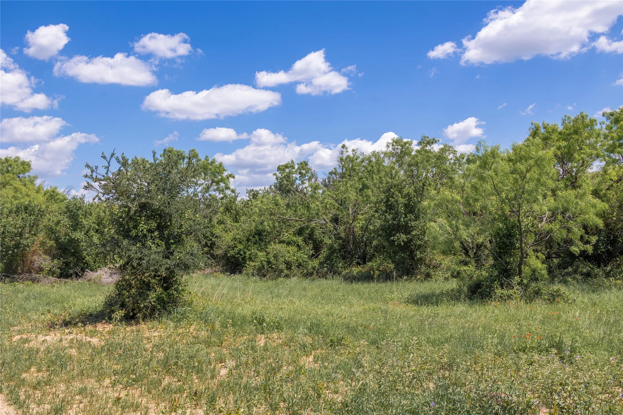 Improved Land For Sale in Brown County , 8548 County Road 332, Blanket, Texas 76432, 0, 0, Garage spaces, 0 Sqft, built in 0, Price $82,000, mls#21109867, Real Estate Agent in Blanket, Homes For Sale in Brown county, Homes For Sale in Blanket, Realtor in Blanket Texas, Real Estate Brokerage Independent Realty Texas, Luminita Cordes Realtor