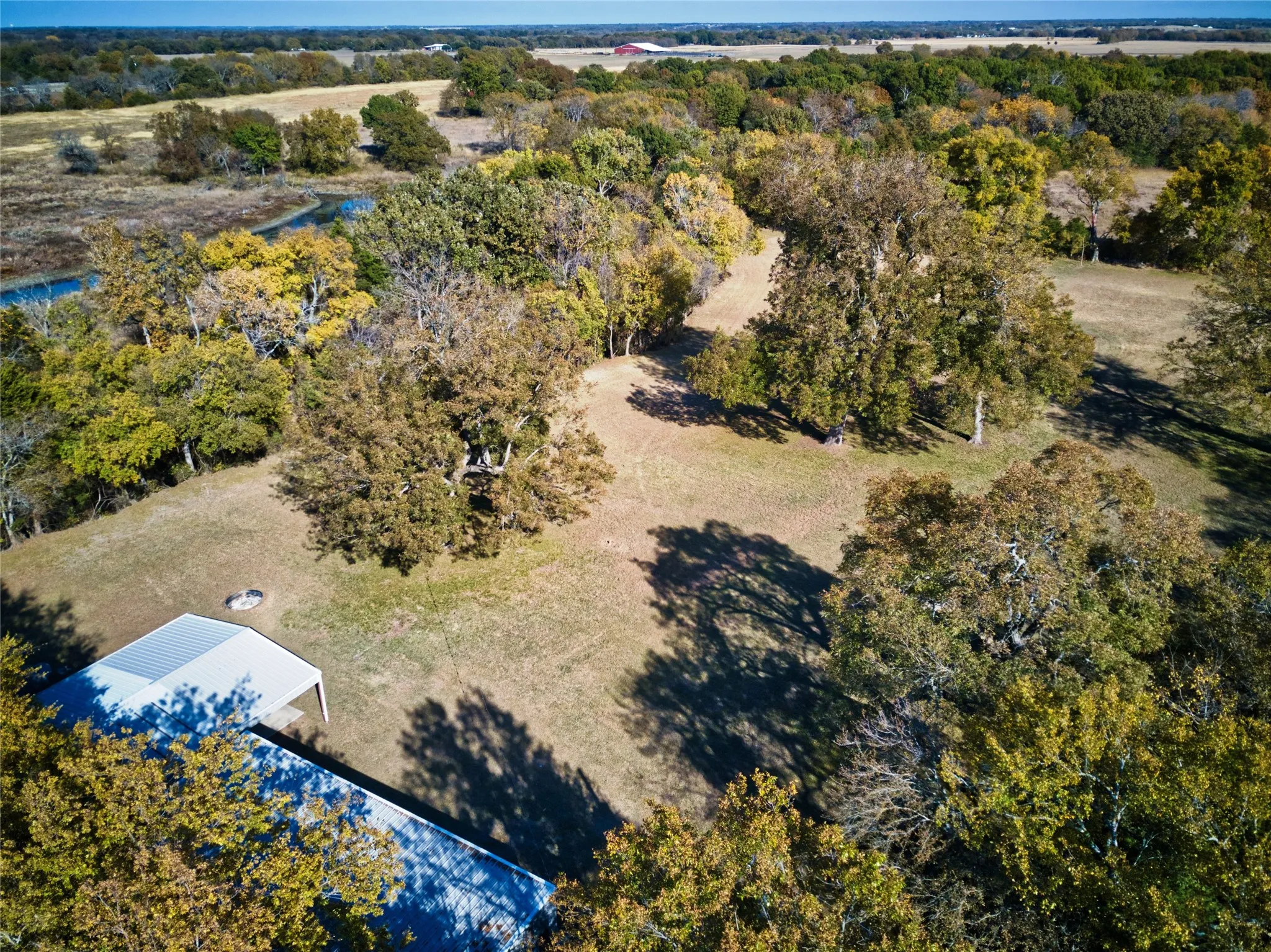 Aerial view of yard and beautiful 100+ Pecan Trees