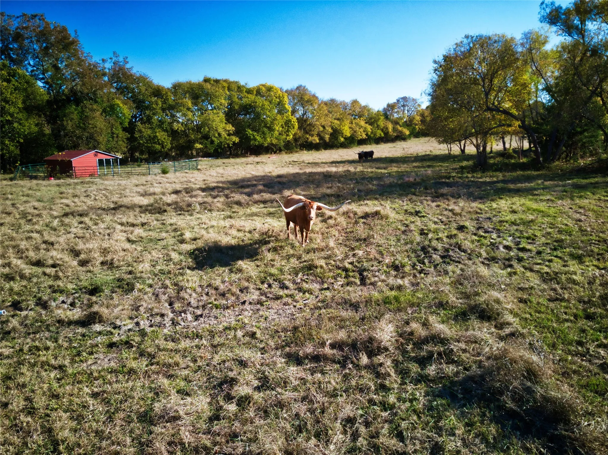 Red Loafing Shed in the background