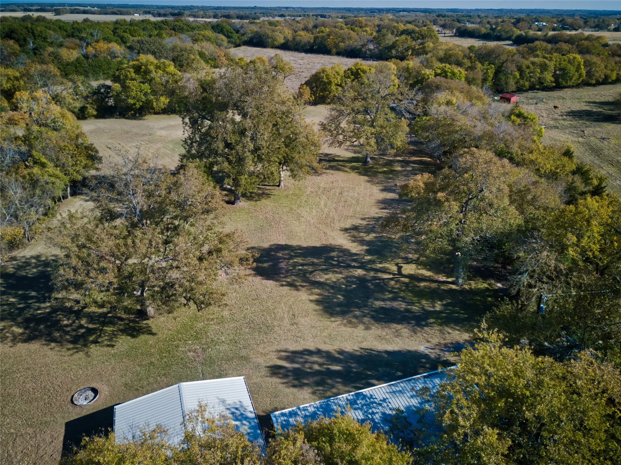Farm For Sale in Fannin County , 956 County Road 4231, Bonham, Texas 75418, 0, 1 Bathroom, 2 Garage spaces, 1,190 Sqft, built in 2005, Preowned, Price $599,000, mls#21110174, Real Estate Agent in Bonham, Homes For Sale in Fannin county, Homes For Sale in Bonham, Realtor in Bonham Texas, Real Estate Brokerage Independent Realty Texas, Luminita Cordes Realtor