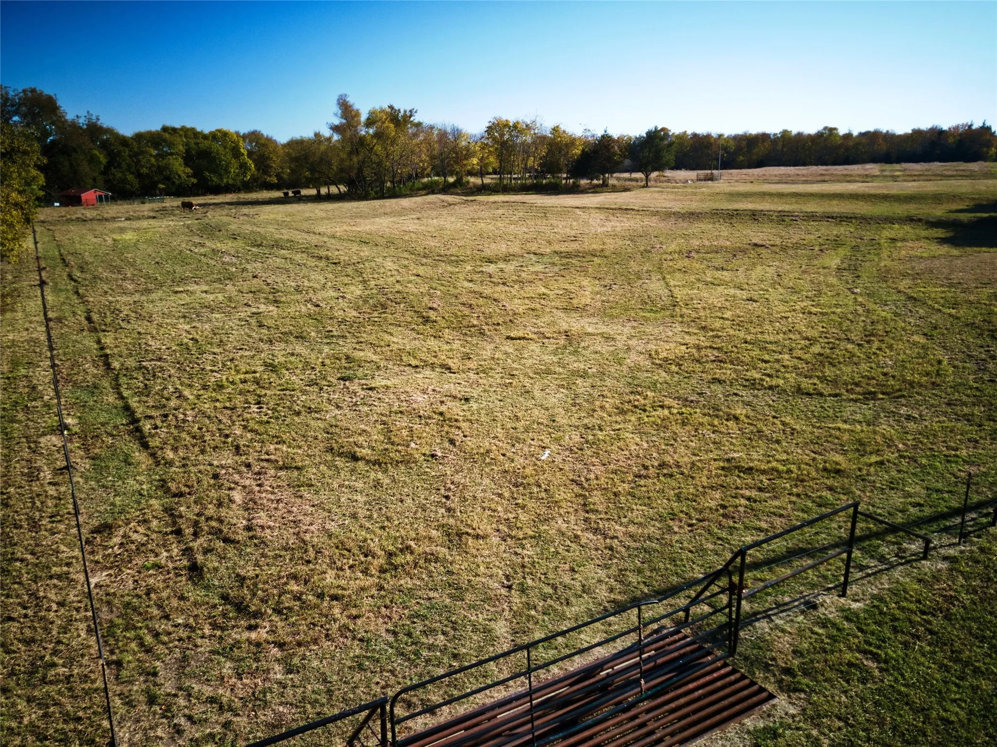 Pasture with cattle guard and gate