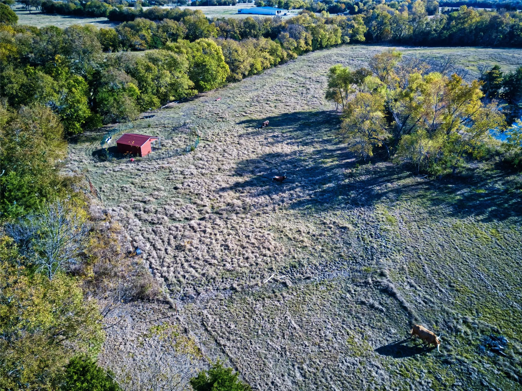 Farm For Sale in Fannin County , 956 County Road 4231, Bonham, Texas 75418, 0, 1 Bathroom, 2 Garage spaces, 1,190 Sqft, built in 2005, Preowned, Price $599,000, mls#21110174, Real Estate Agent in Bonham, Homes For Sale in Fannin county, Homes For Sale in Bonham, Realtor in Bonham Texas, Real Estate Brokerage Independent Realty Texas, Luminita Cordes Realtor