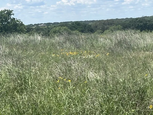 Expansive natural landscape featuring tall grasses, scattered wildflowers, and a distant tree line under a partly cloudy sky