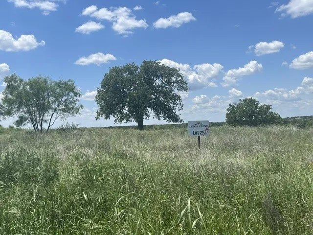 Expansive open land featuring diverse foliage and a prominent mature tree
