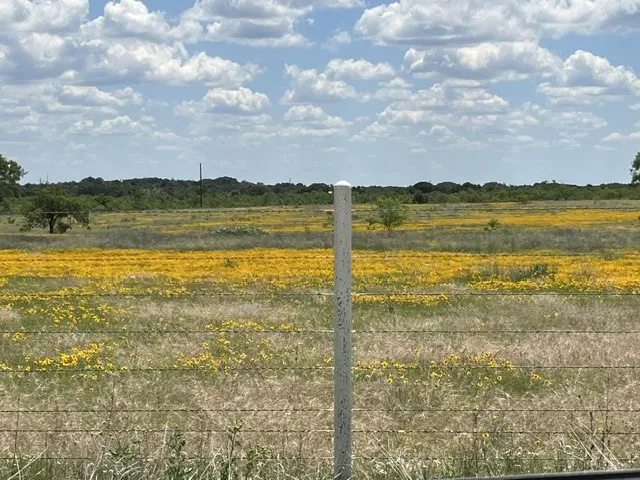Expansive open land featuring diverse foliage and a distant tree line