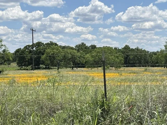 Expansive acreage featuring natural grasslands and mature trees