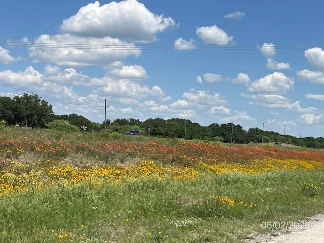 Expansive open land with a vibrant field of yellow and orange wildflowers under a broad blue sky with scattered white clouds