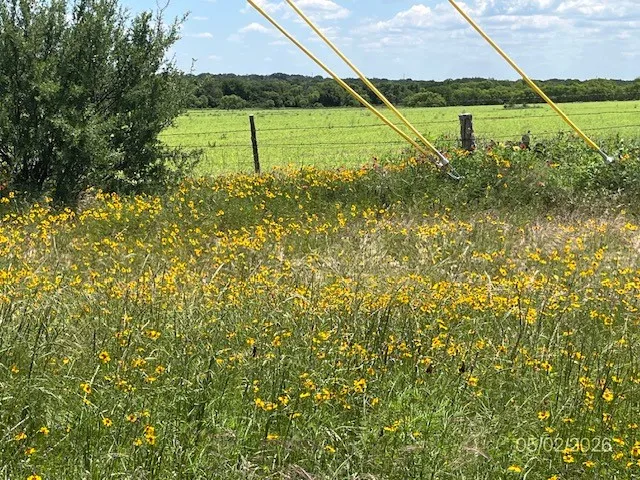Expansive natural landscape featuring a field of wildflowers and green foliage