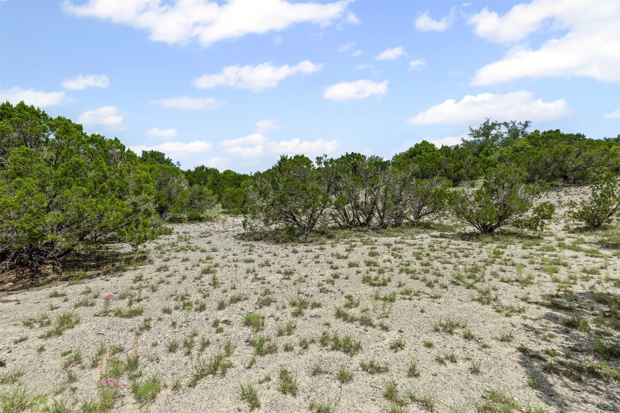 Unimproved Land For Sale in Johnson County , 8515 Hilltop Drive, Cleburne, Texas 76033, 0, 0, Garage spaces, 0 Sqft, built in 0, mls#21110824, Real Estate Agent in Cleburne, Homes For Sale in Johnson county, Homes For Sale in Cleburne, Realtor in Cleburne Texas, Real Estate Brokerage Independent Realty Texas, Luminita Cordes Realtor